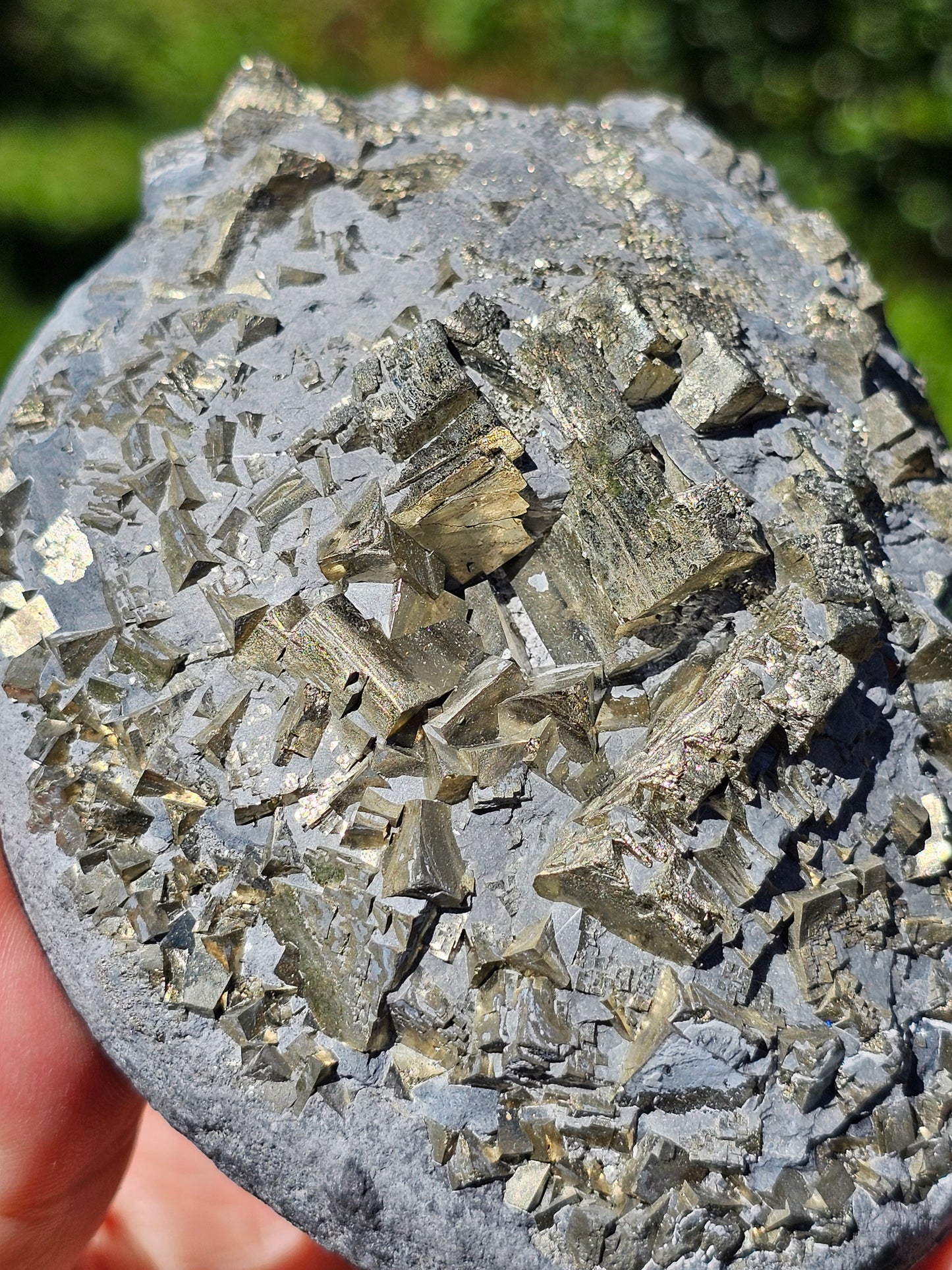 Pyrite brute française