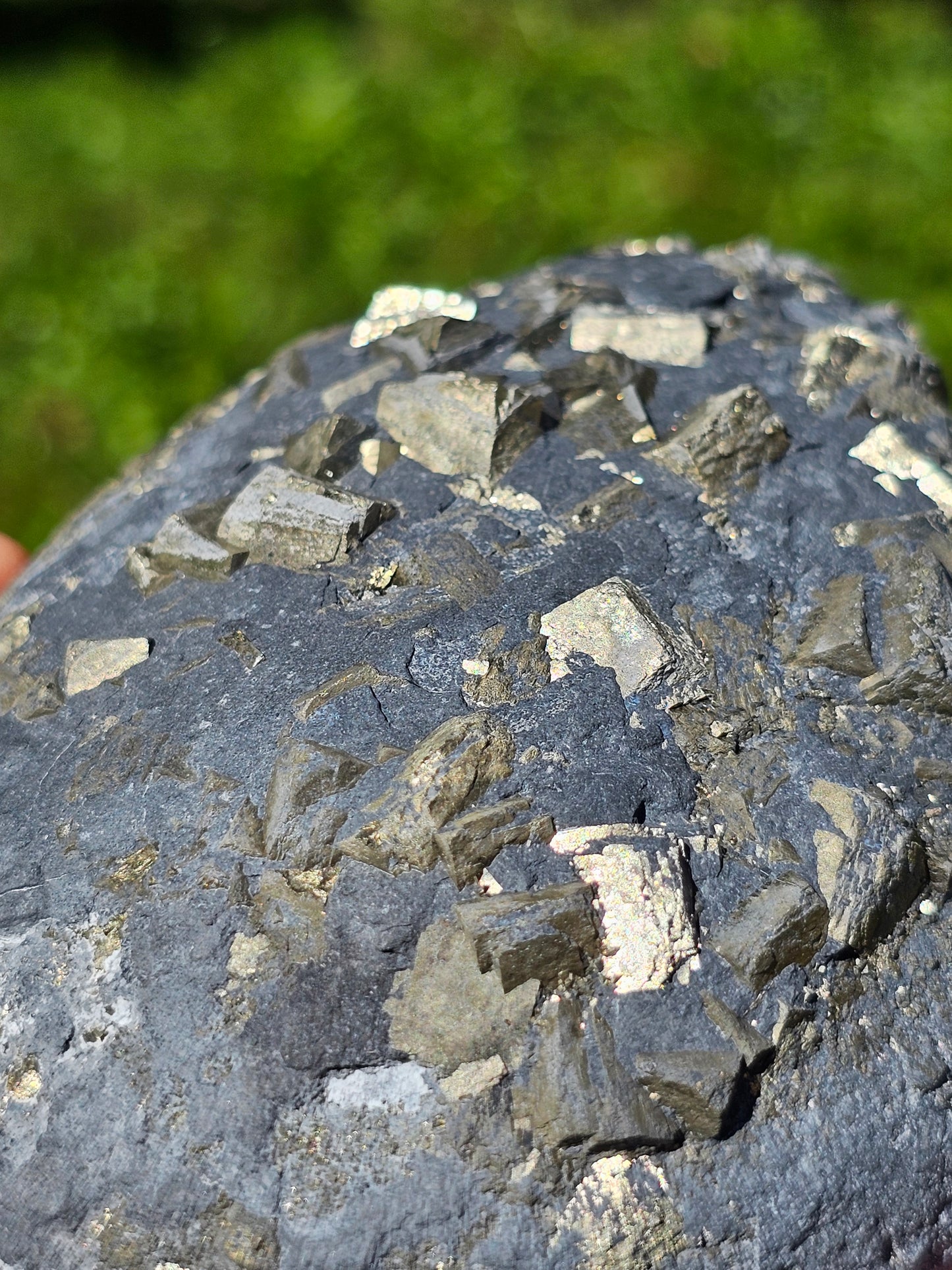 Pyrite brute française