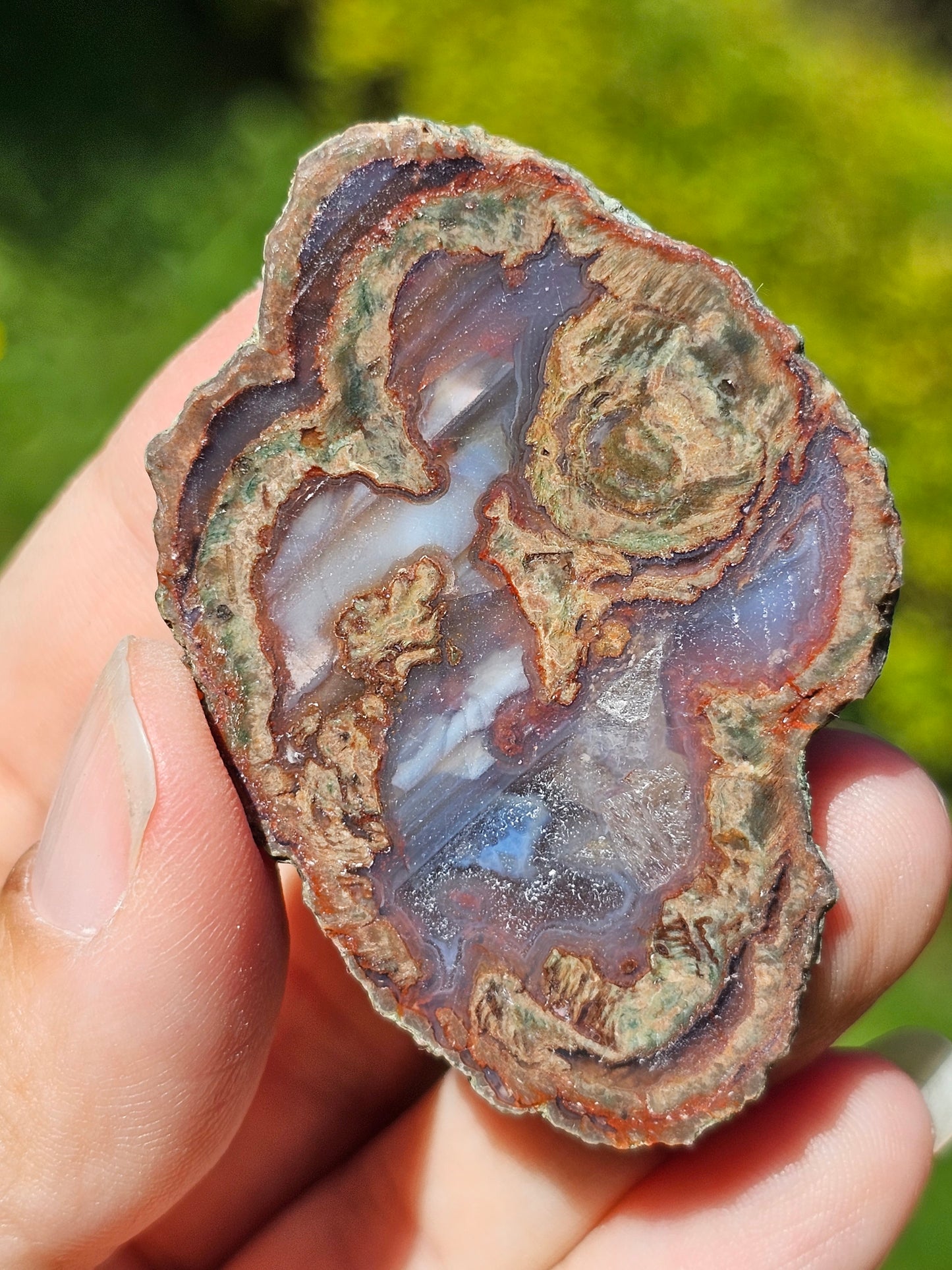 Lithophyse du Var I