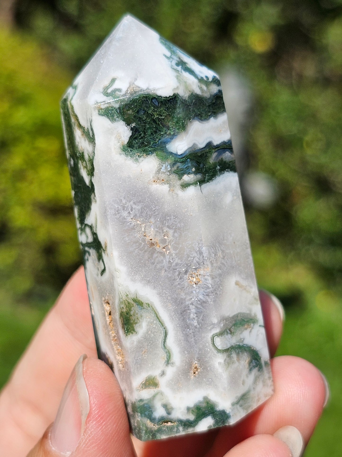 Pointe Agate arbre G