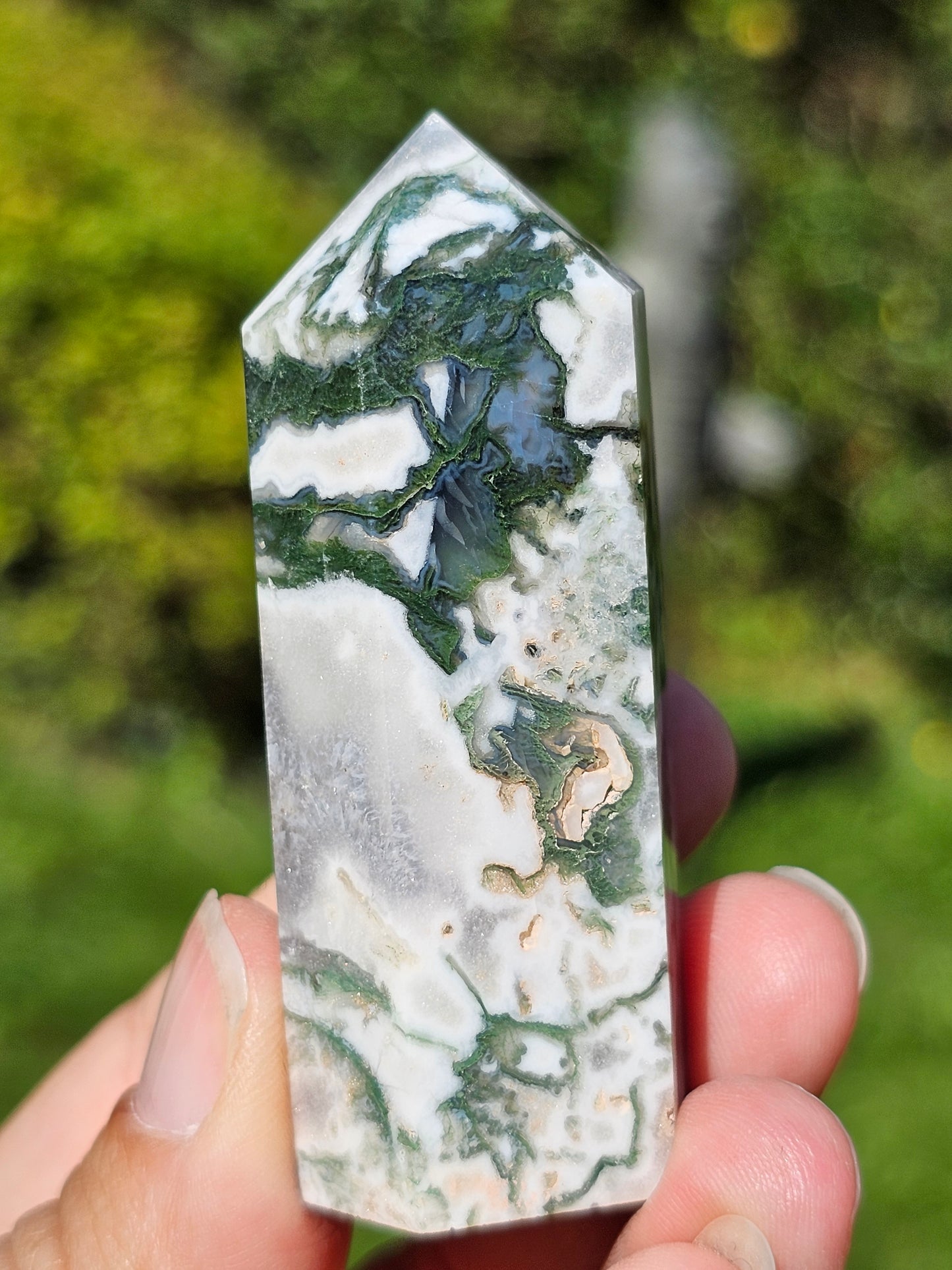 Pointe Agate arbre G