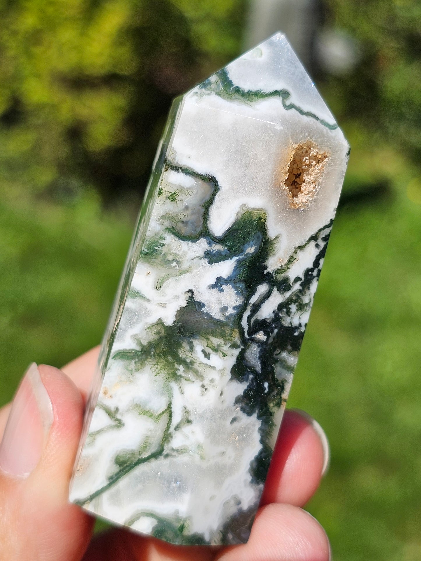 Pointe Agate arbre G