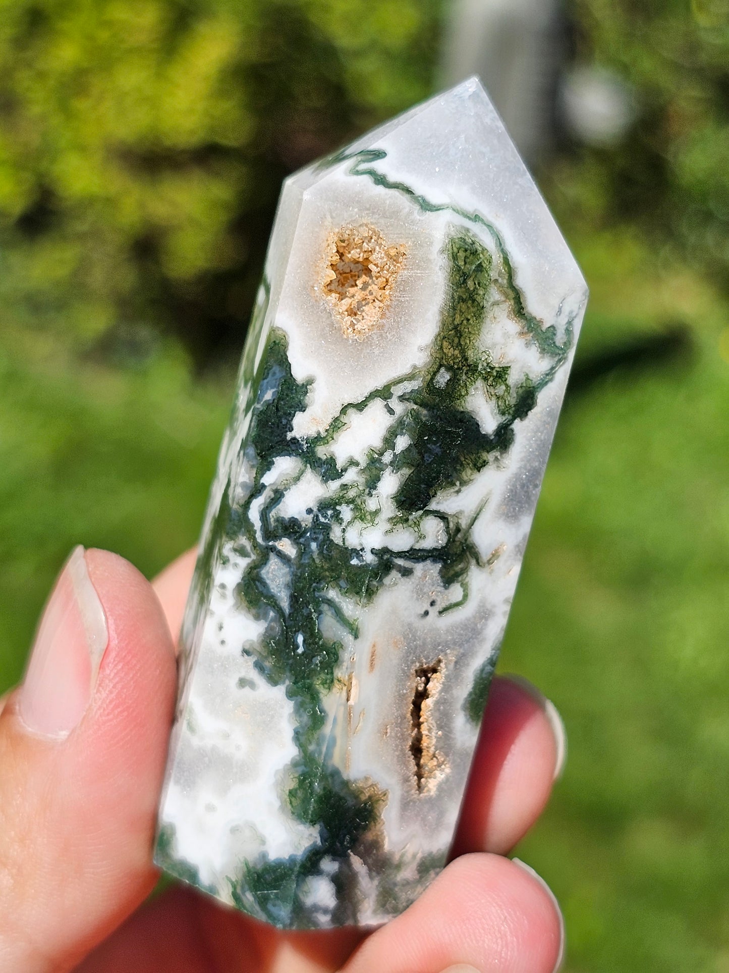 Pointe Agate arbre G