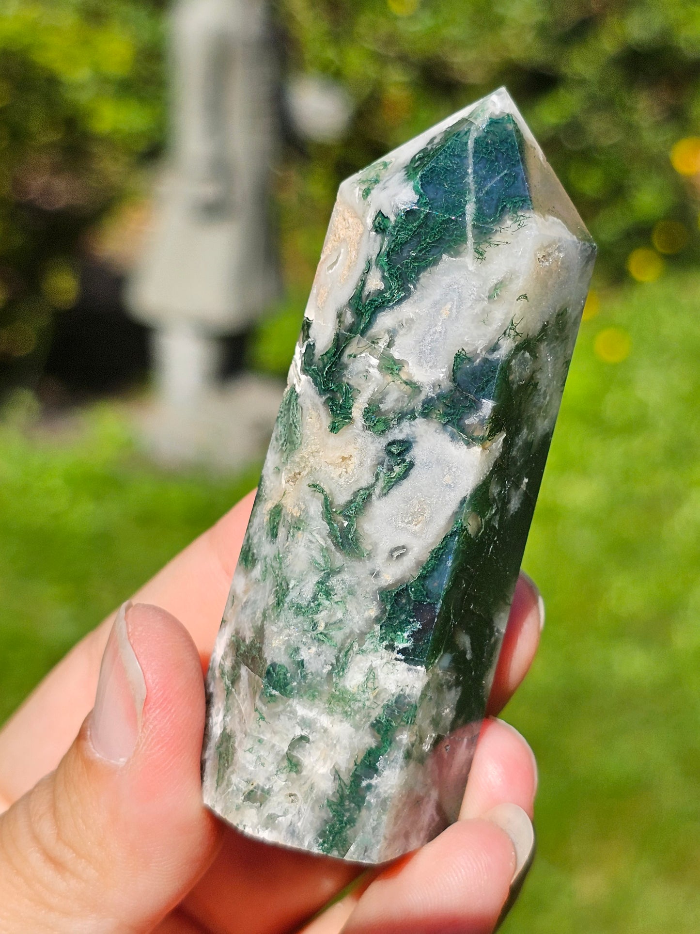Pointe Agate arbre H