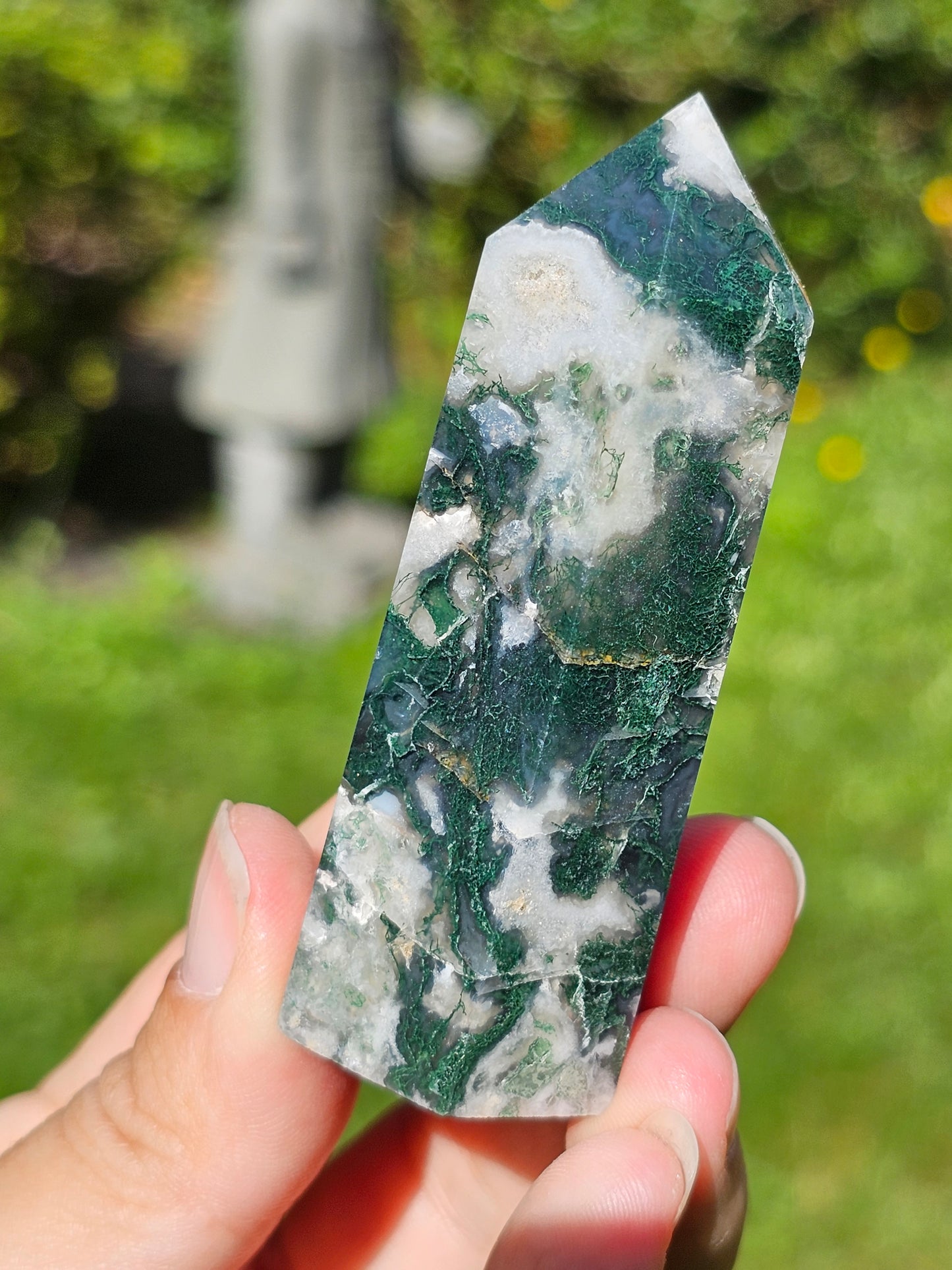 Pointe Agate arbre H