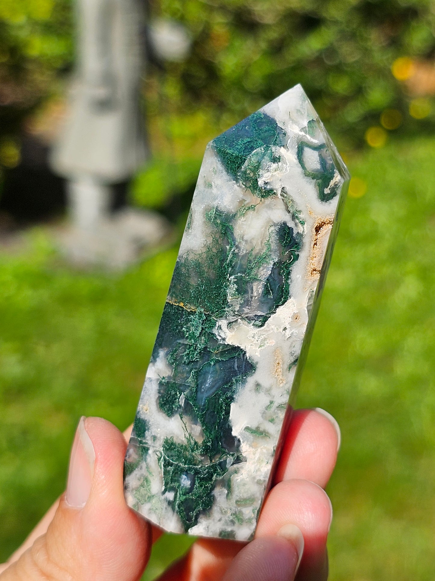 Pointe Agate arbre H