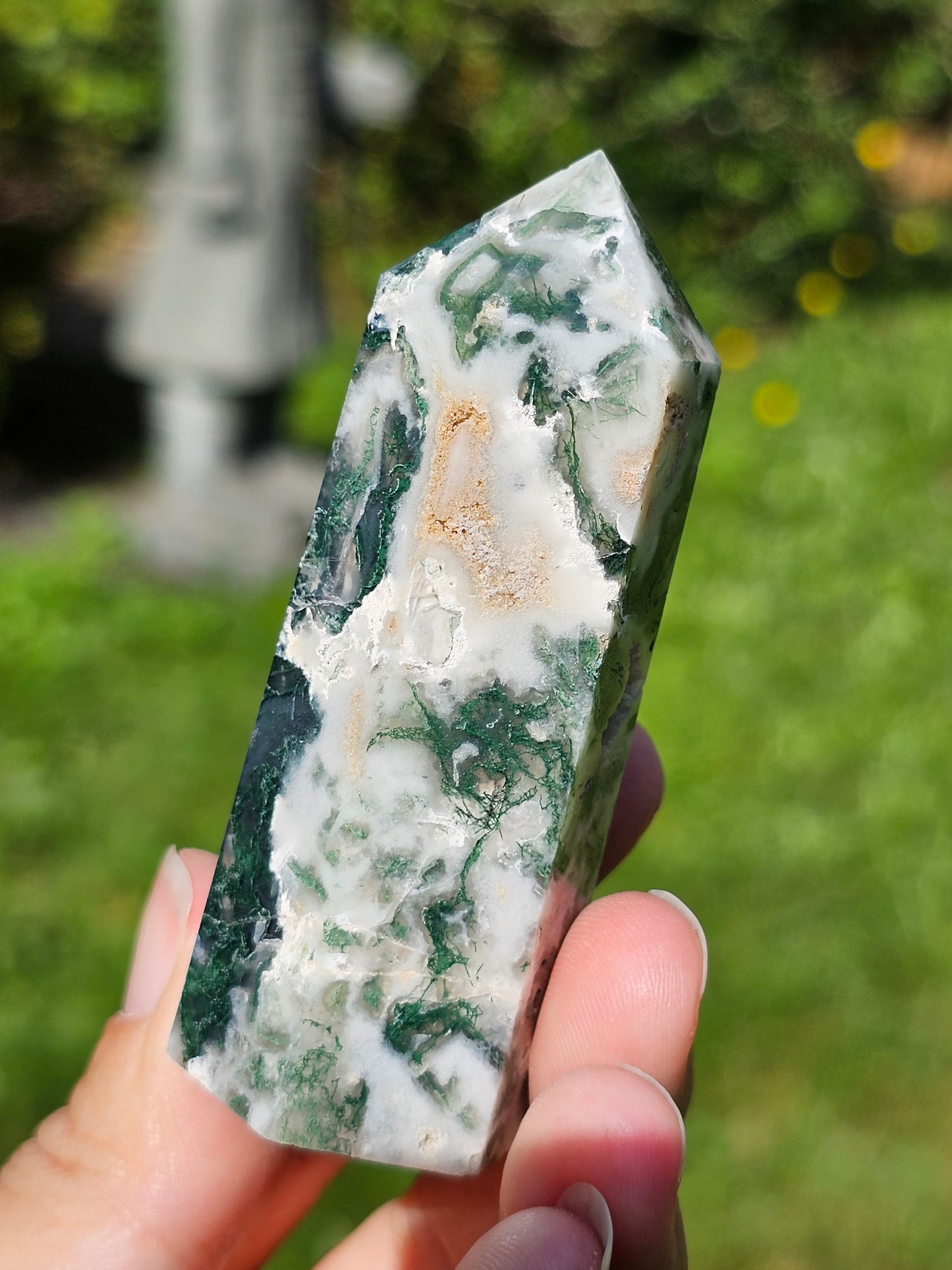 Pointe Agate arbre H