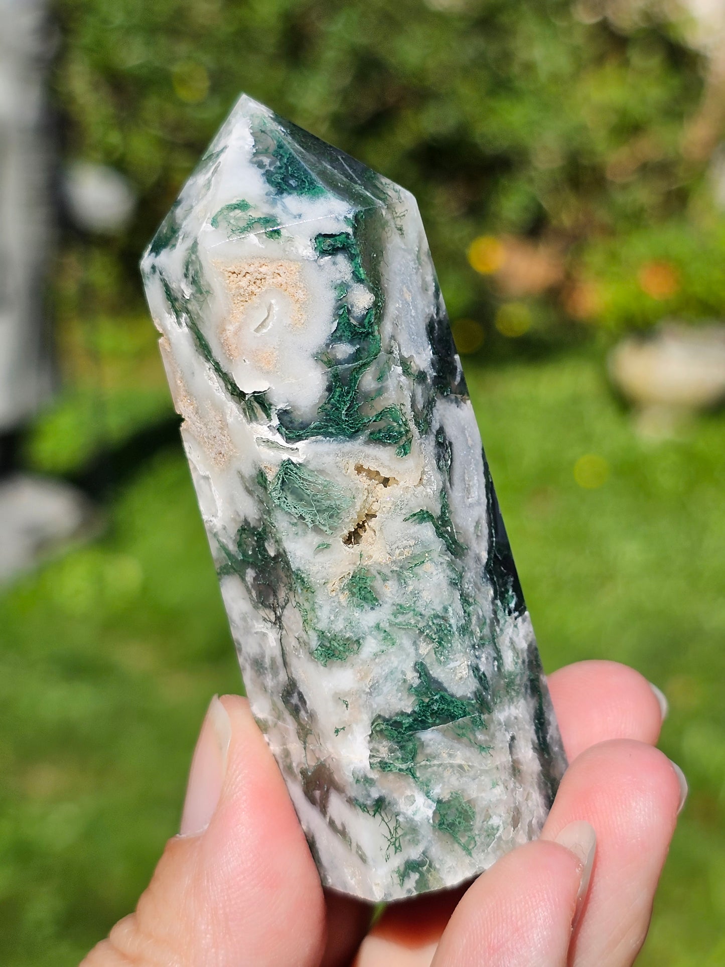 Pointe Agate arbre H