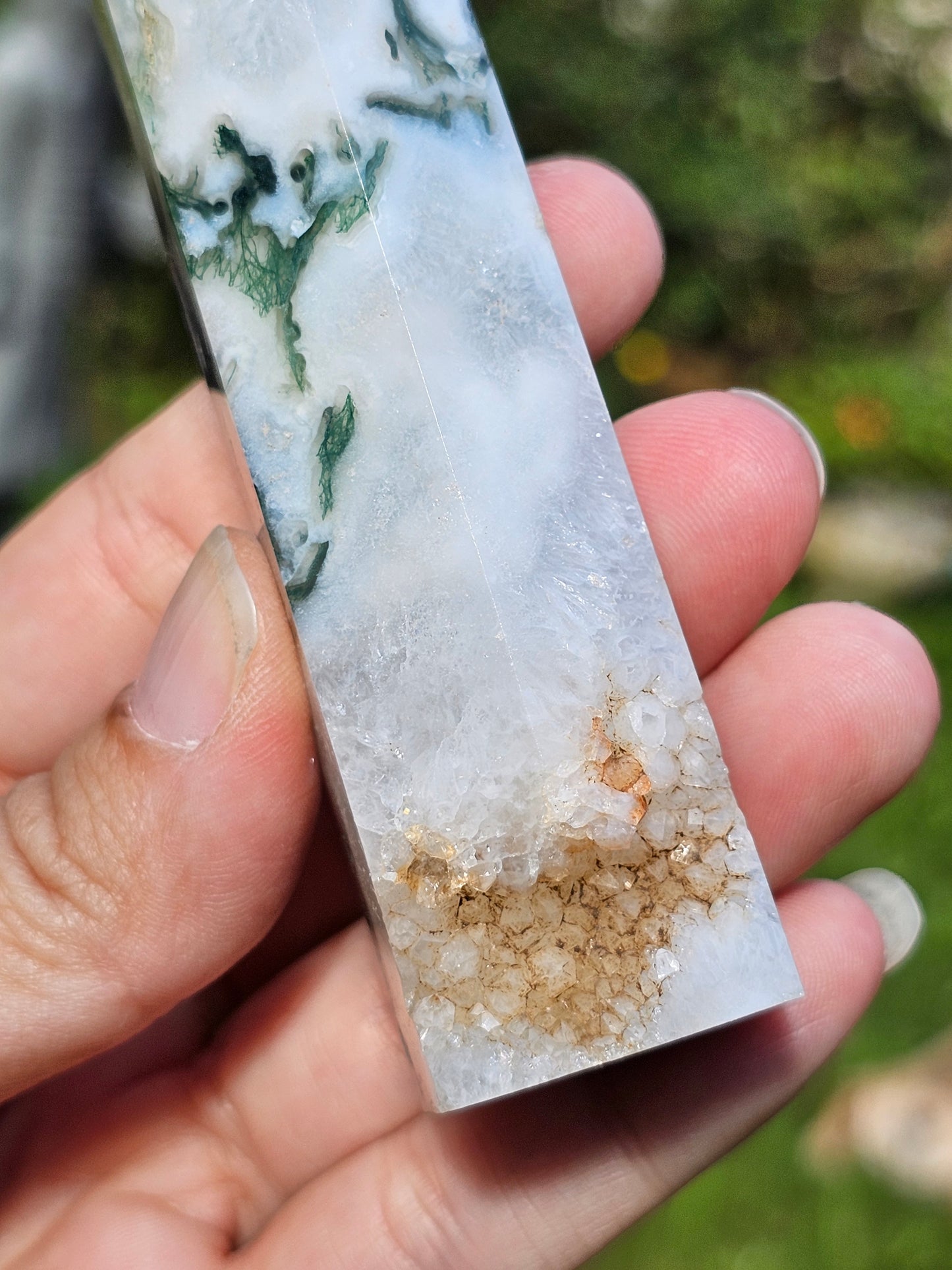 Pointe Agate arbre I