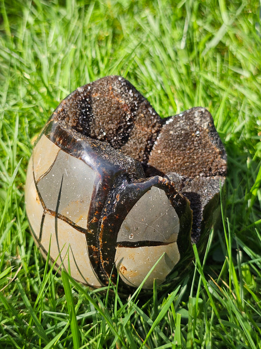 Demi sphère Septaria sauvage B 1049g