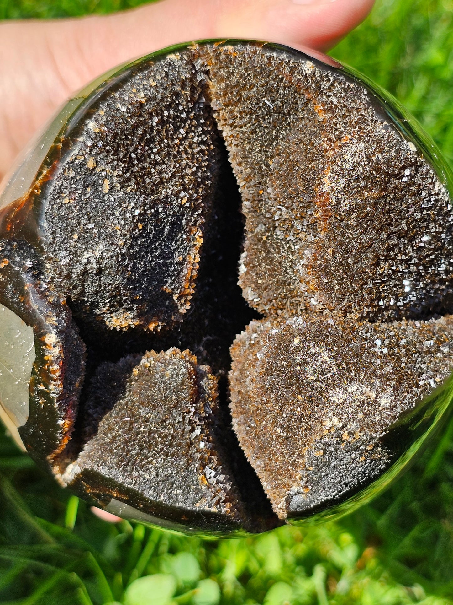 Demi sphère Septaria sauvage A