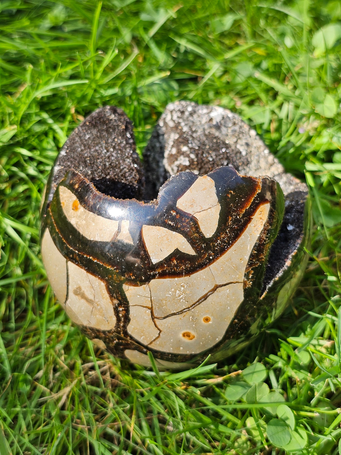 Demi sphère Septaria sauvage B