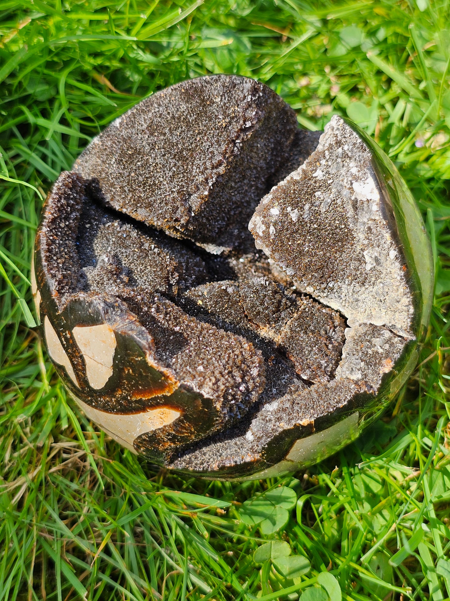 Demi sphère Septaria sauvage B
