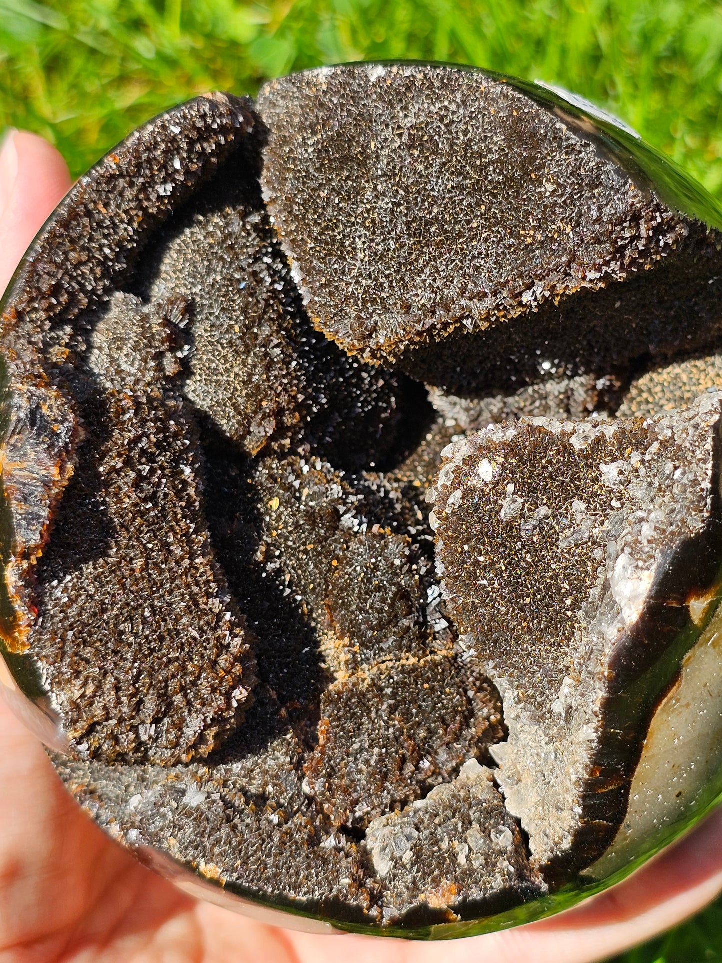 Demi sphère Septaria sauvage B