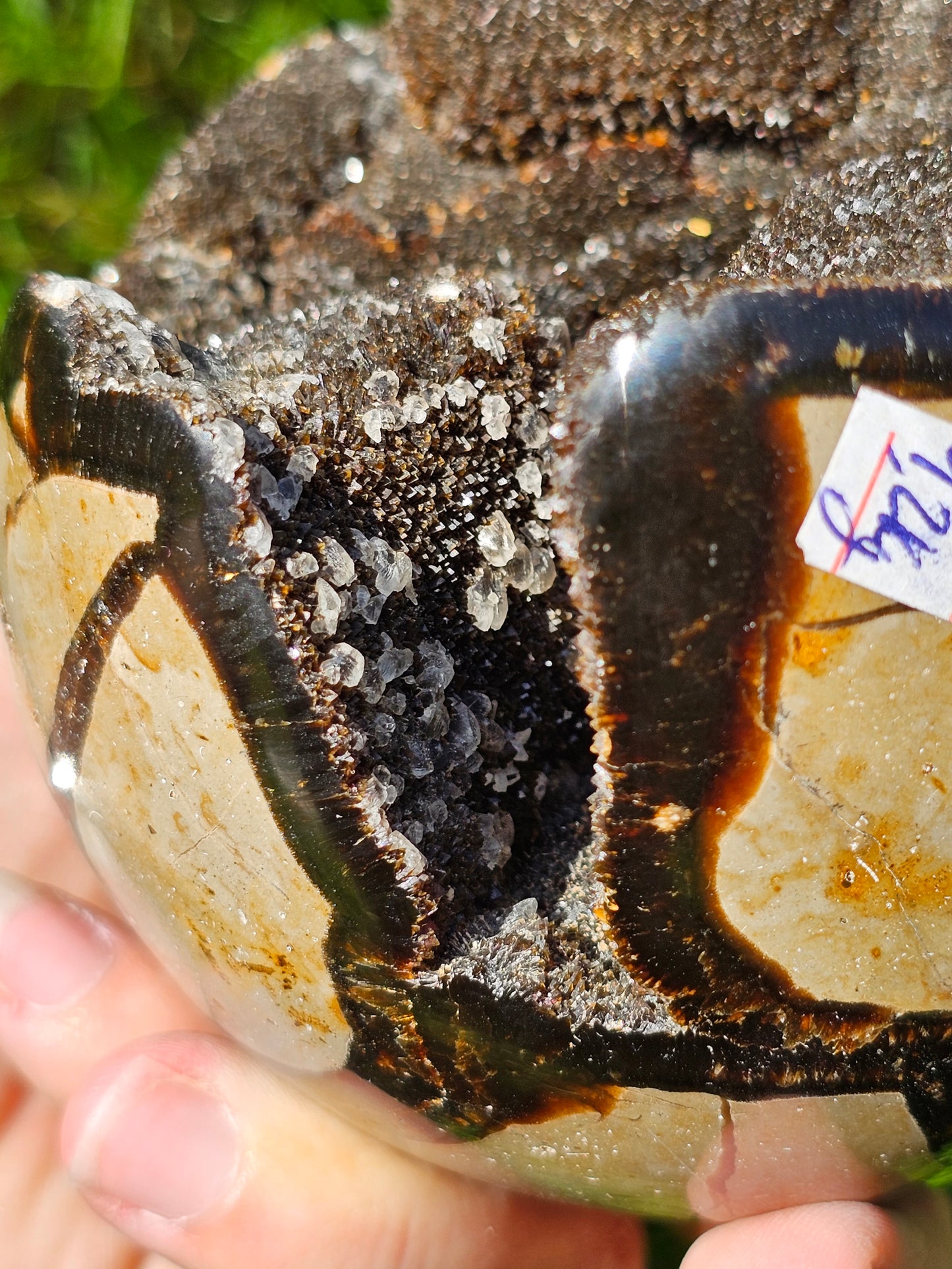 Demi sphère Septaria sauvage B