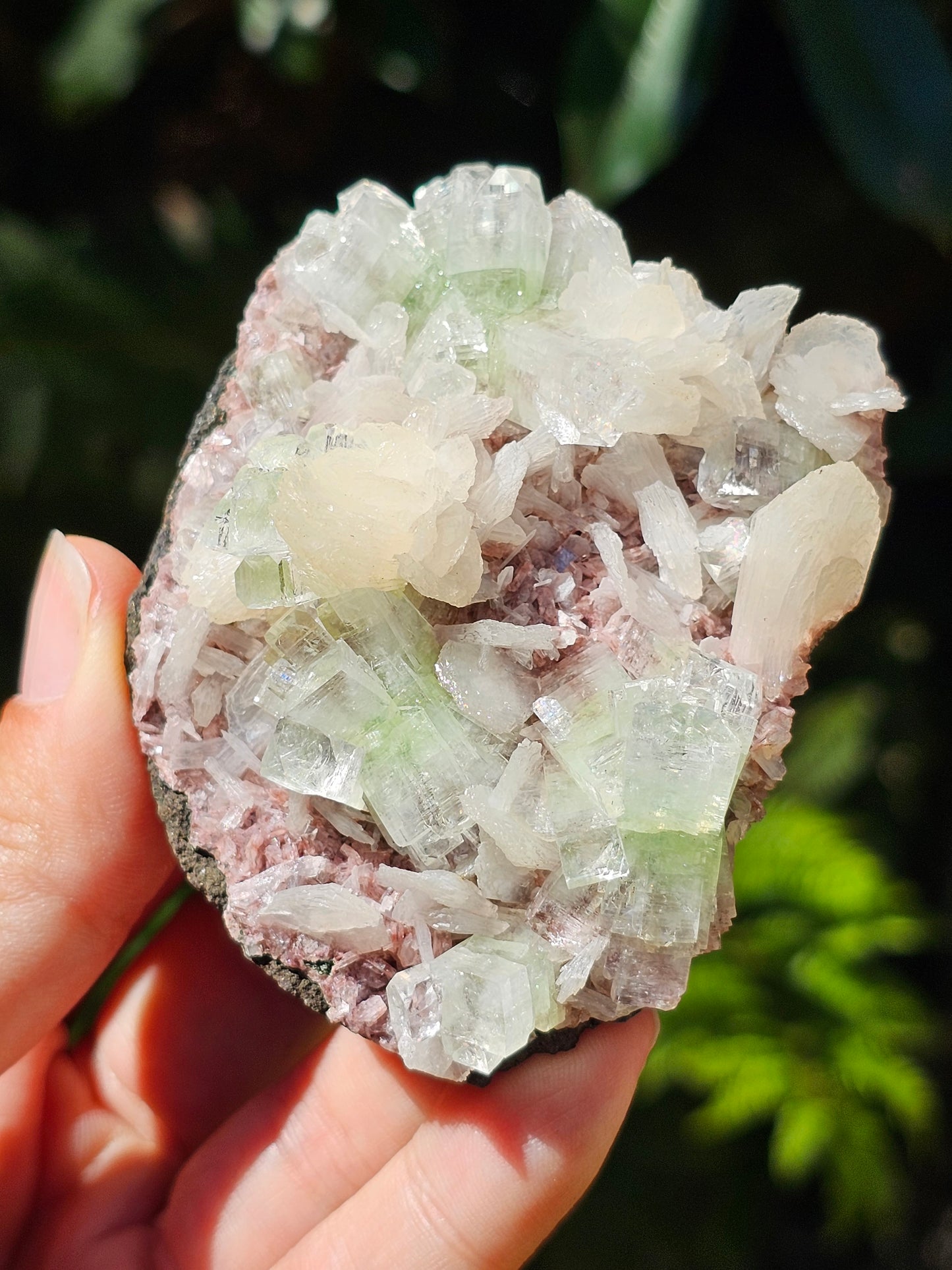 Apophyllite verte et stilbite sur heulandite rouge E