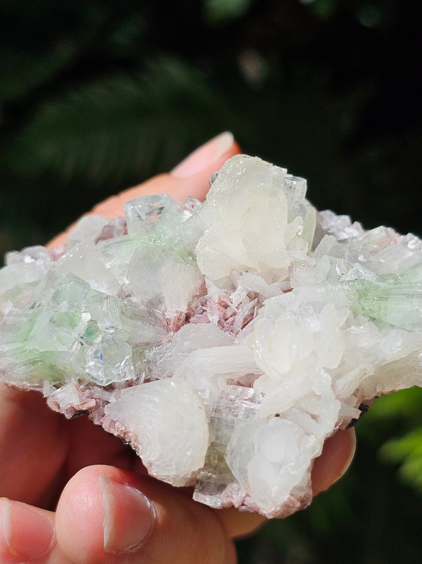 Apophyllite verte et stilbite sur heulandite rouge E