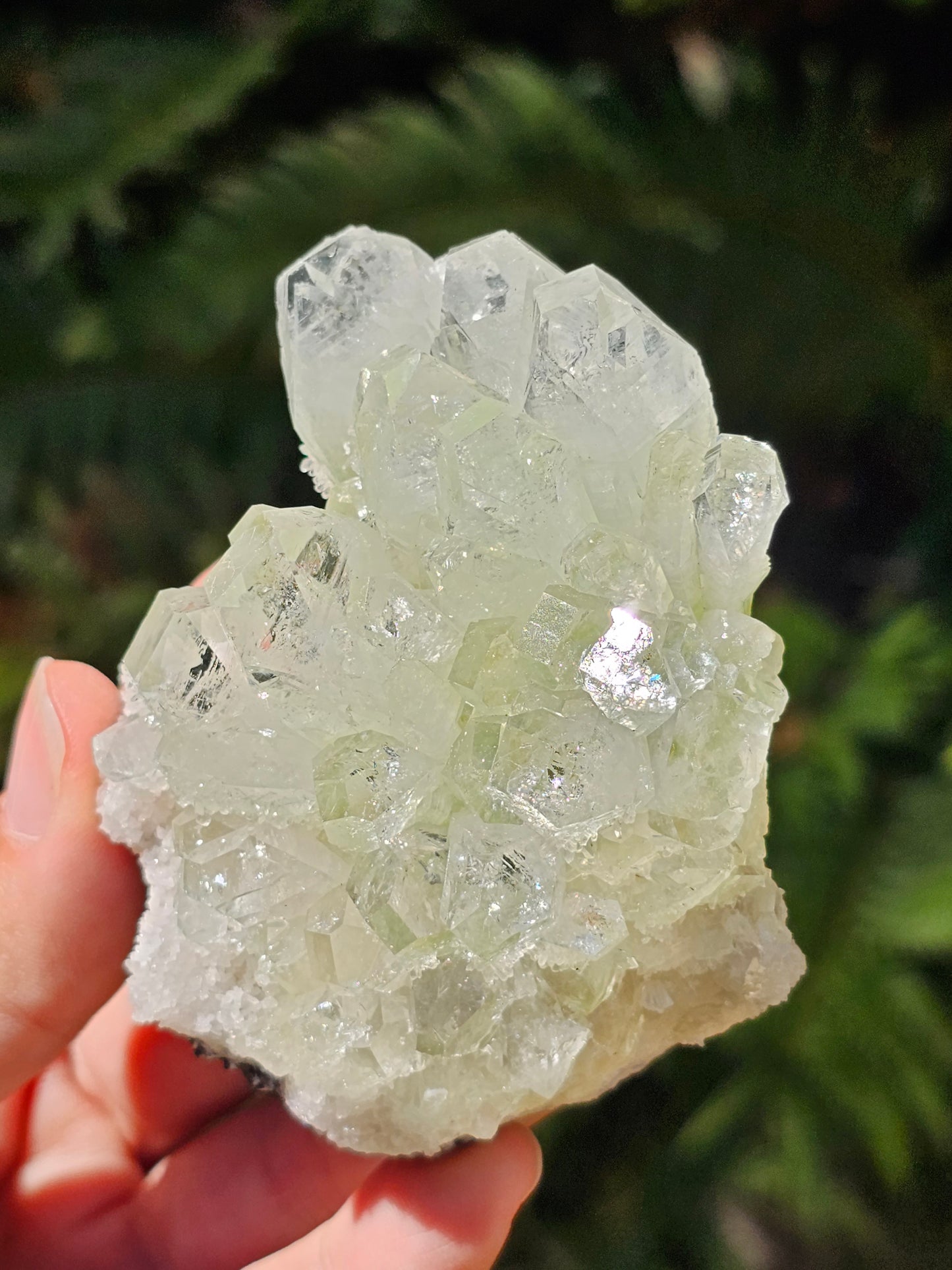 Apophyllite verte sur heulandite H