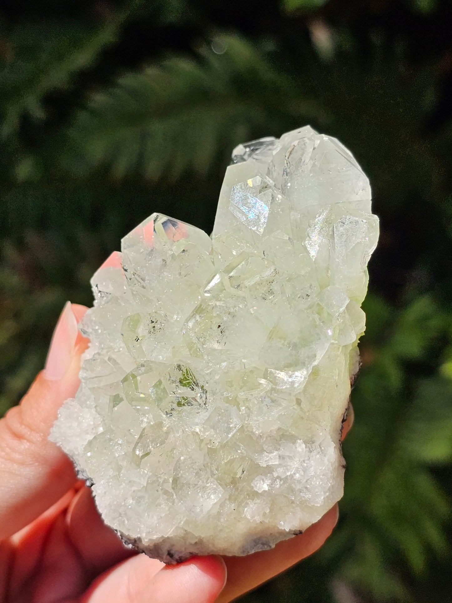 Apophyllite verte sur heulandite H