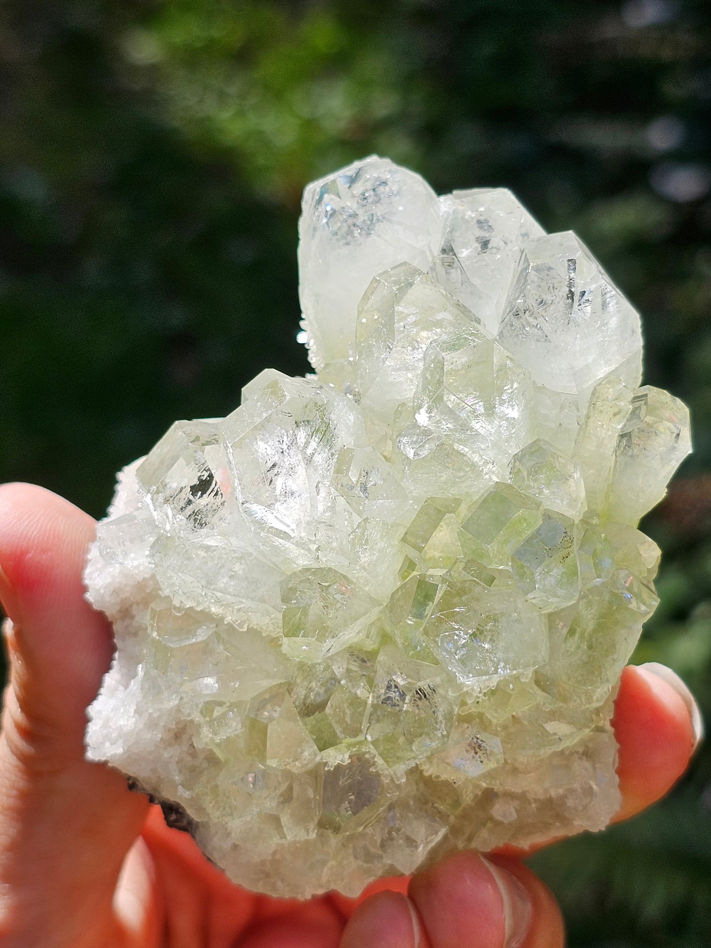 Apophyllite verte sur heulandite H