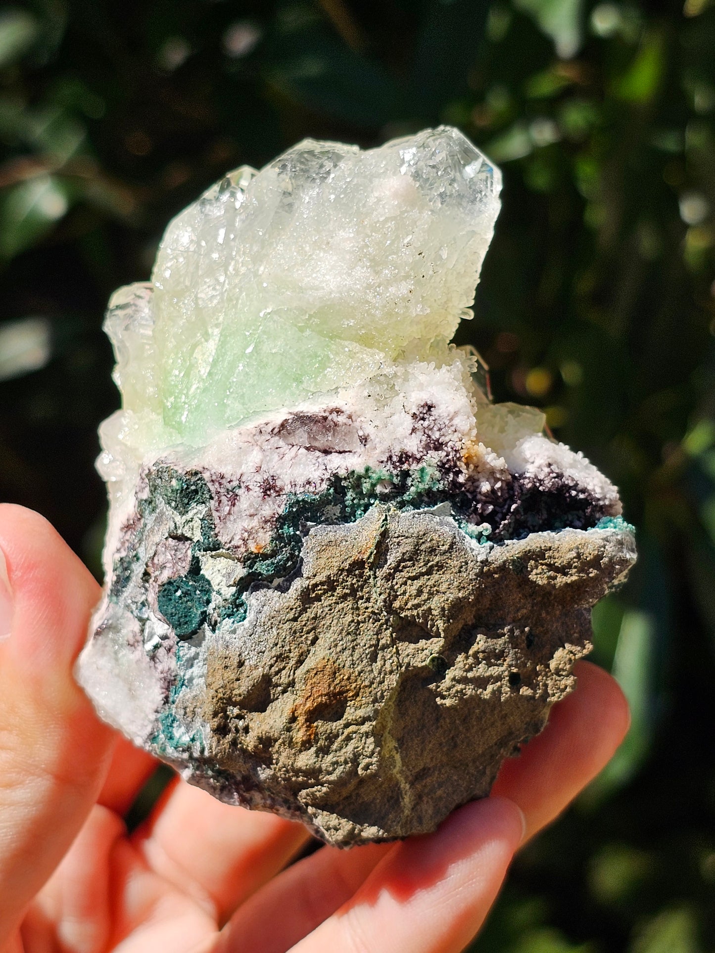 Apophyllite verte sur heulandite H