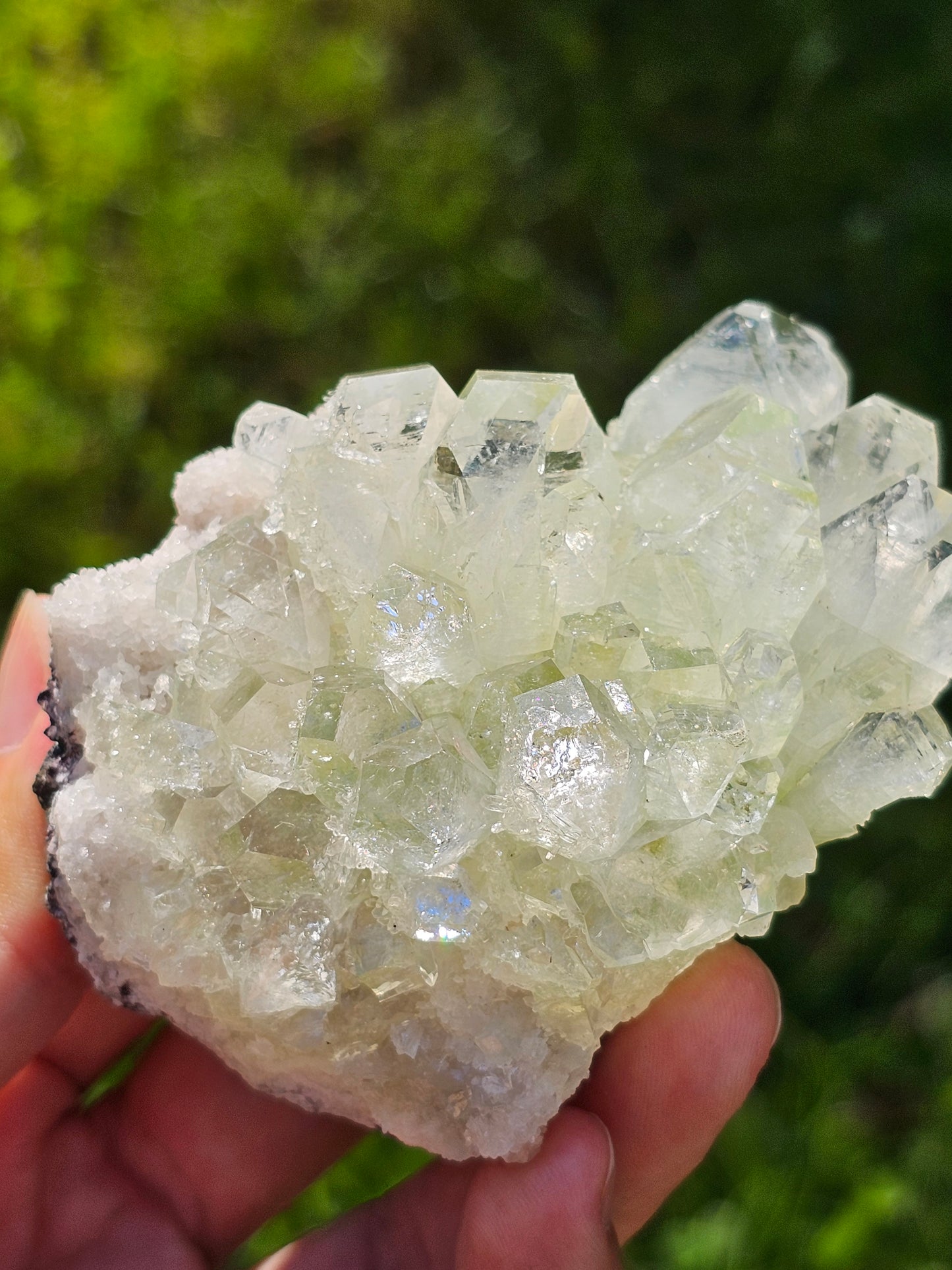 Apophyllite verte sur heulandite H
