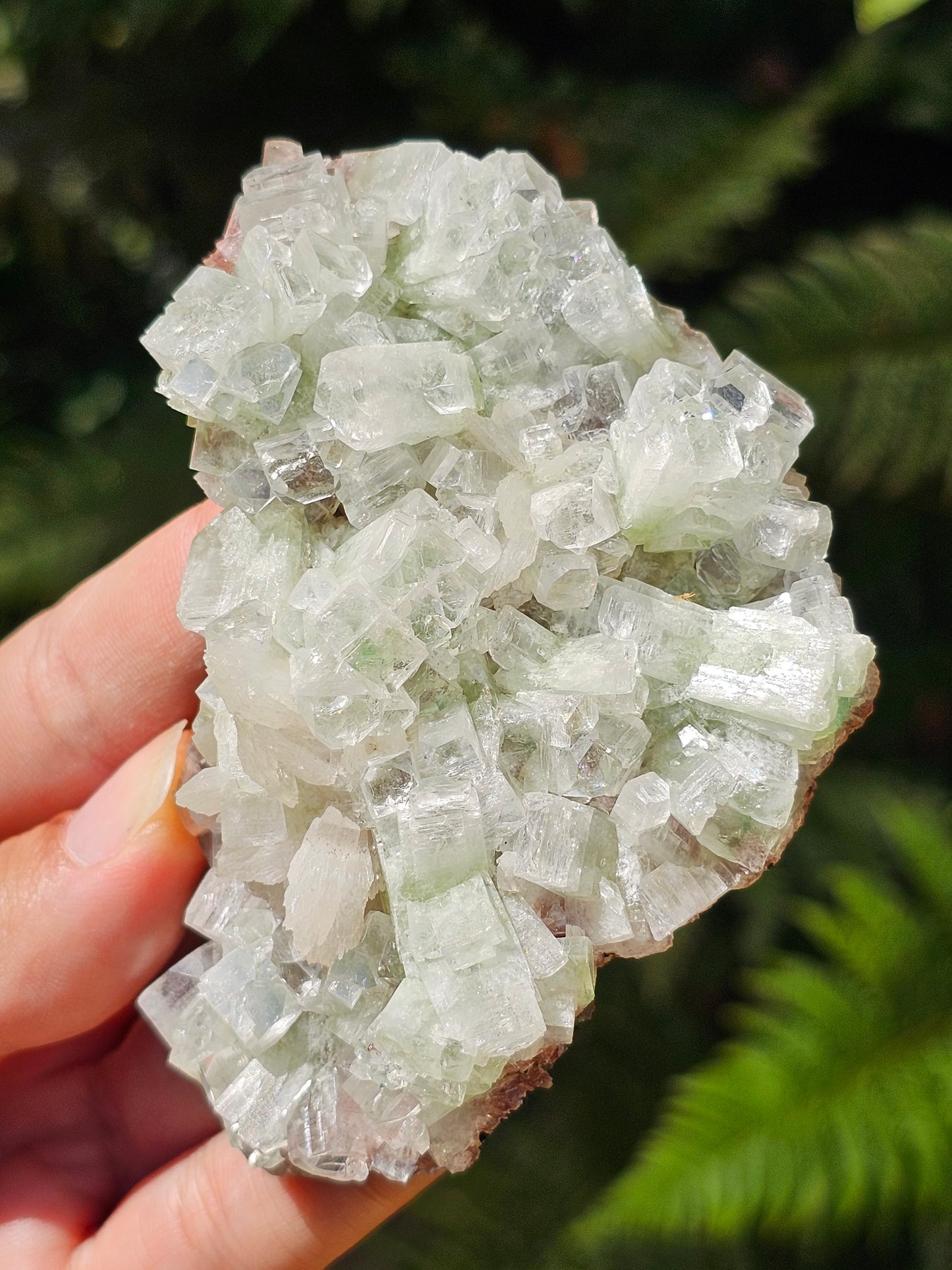 Apophyllite verte et stilbite sur heulandite rouge G