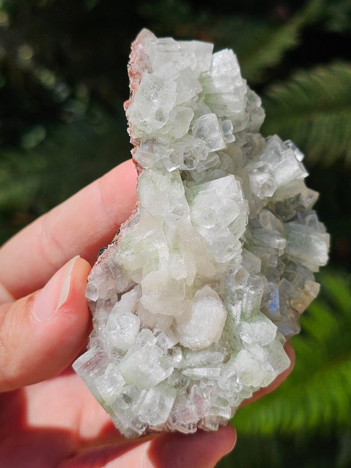Apophyllite verte et stilbite sur heulandite rouge G