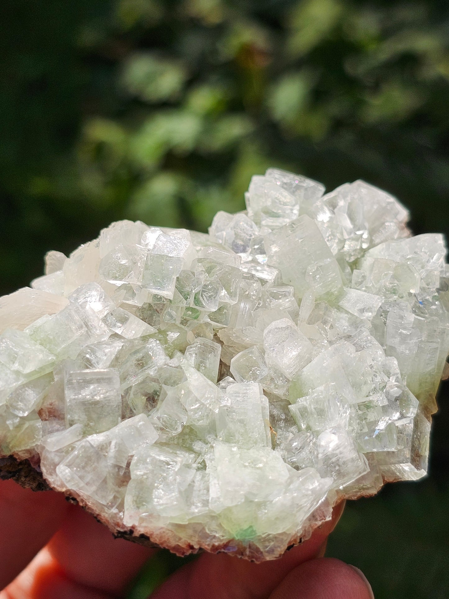 Apophyllite verte et stilbite sur heulandite rouge G