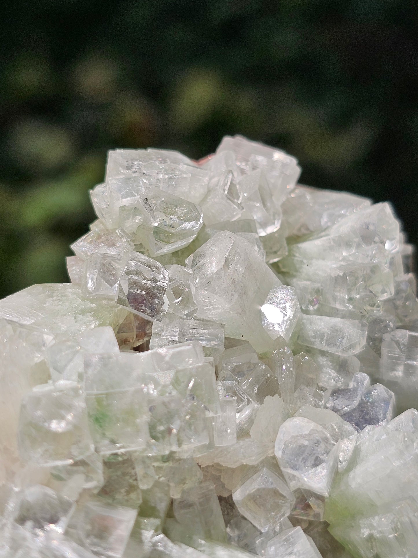 Apophyllite verte et stilbite sur heulandite rouge G