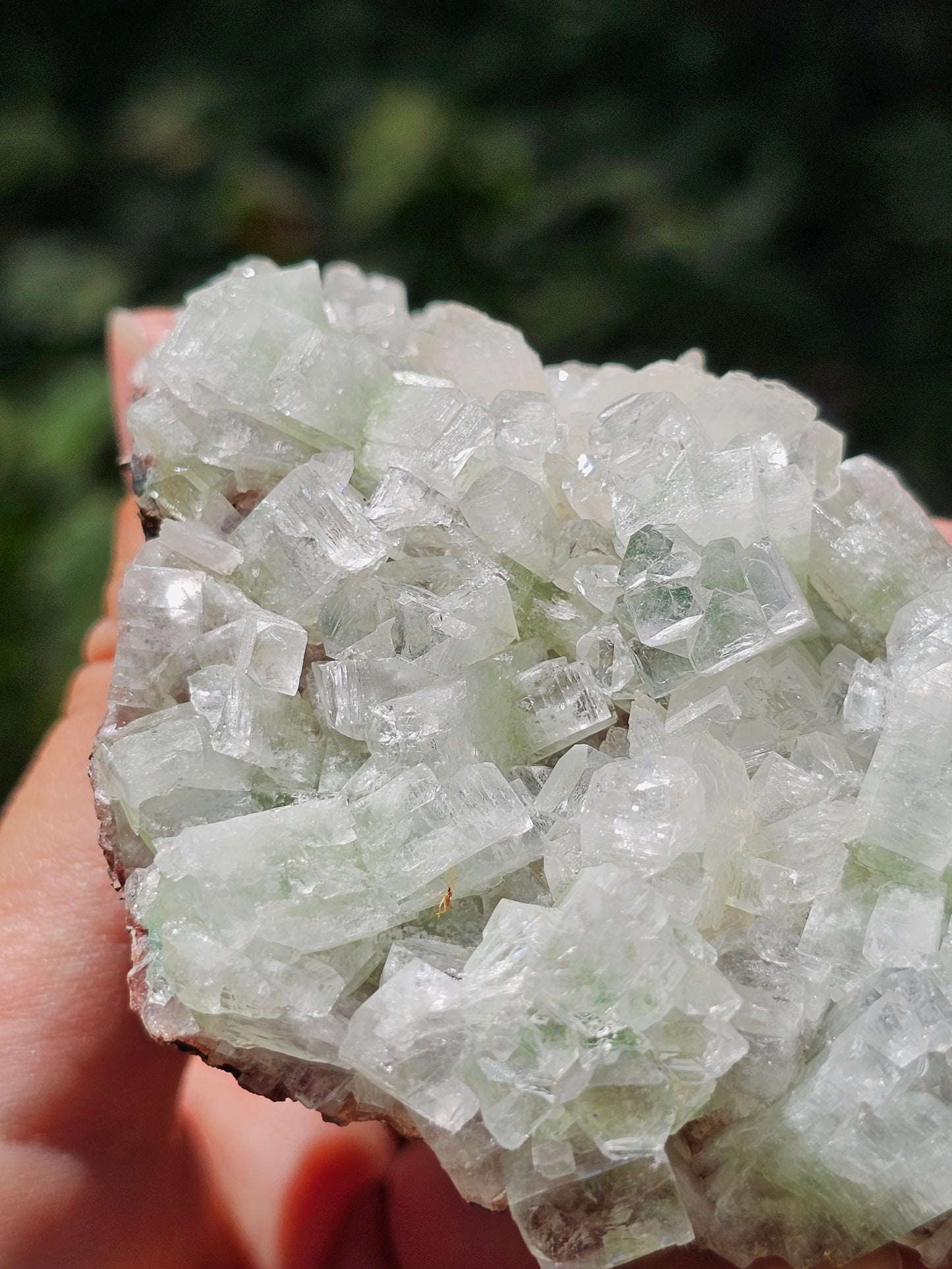 Apophyllite verte et stilbite sur heulandite rouge G