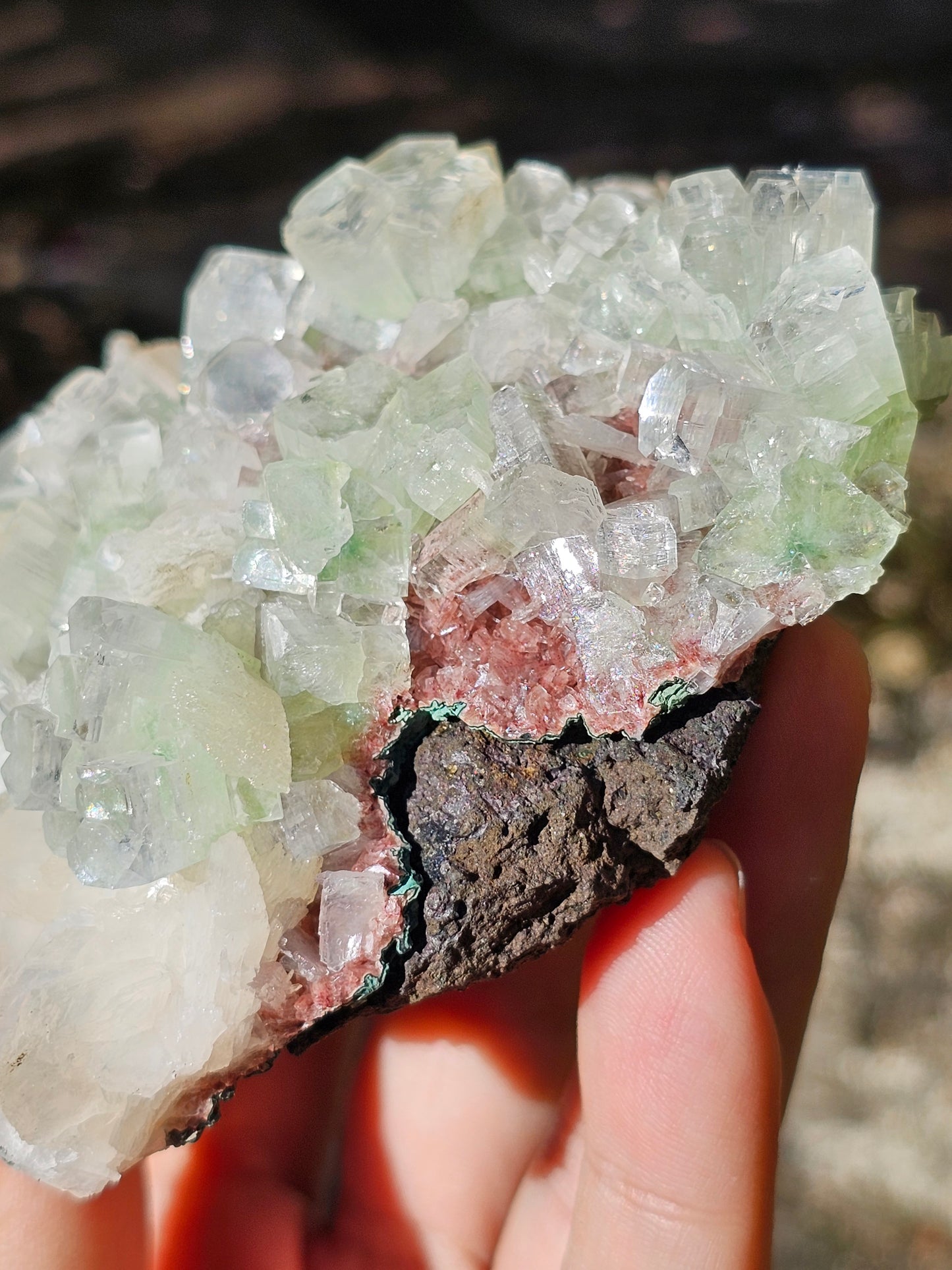 Apophyllite verte sur heulandite rouge I