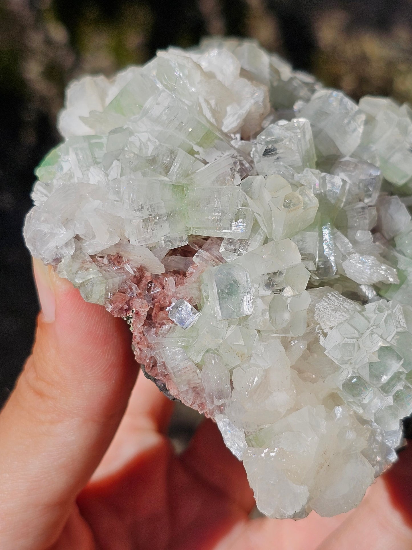 Apophyllite verte sur heulandite rouge I