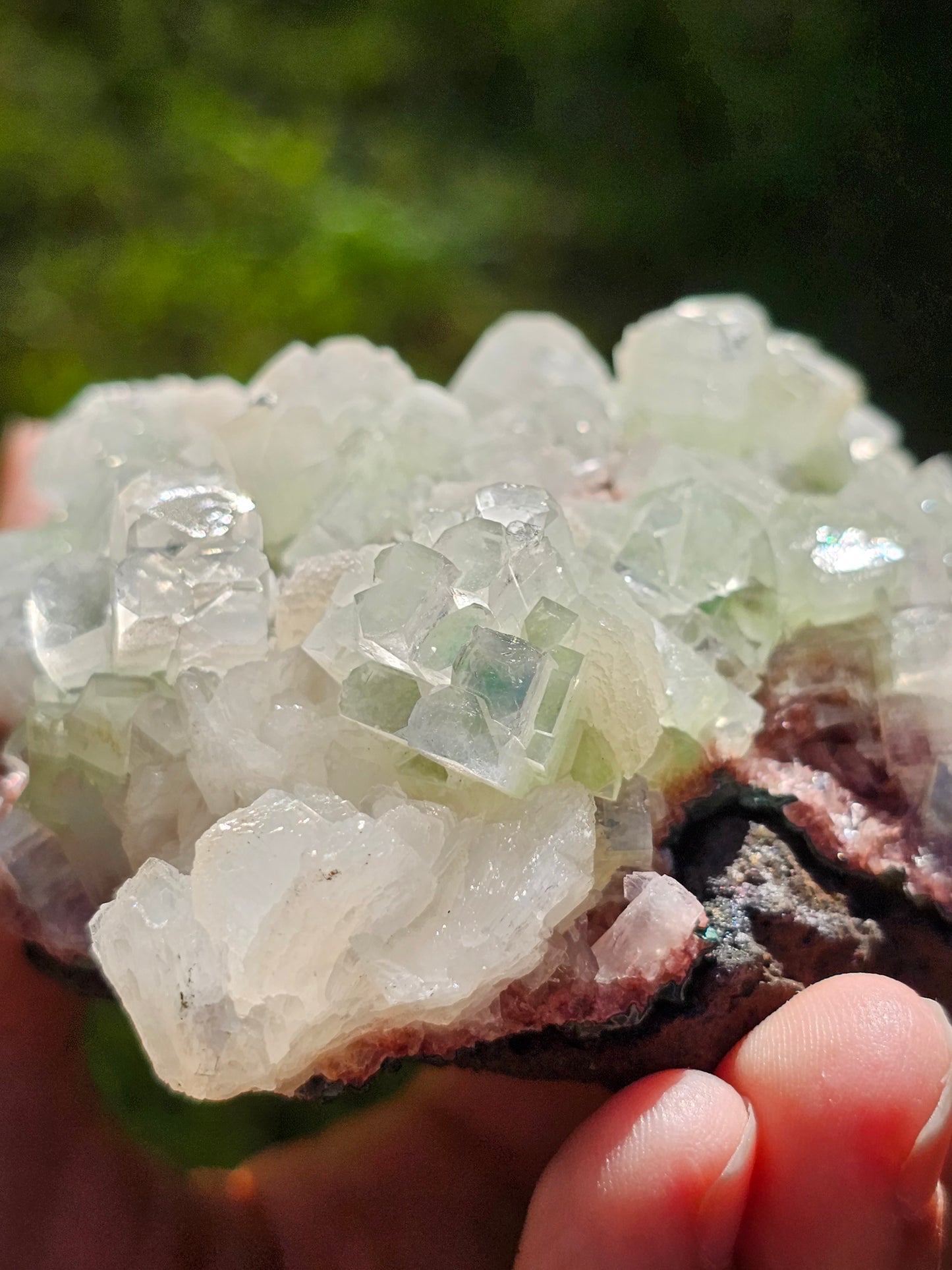Apophyllite verte sur heulandite rouge I