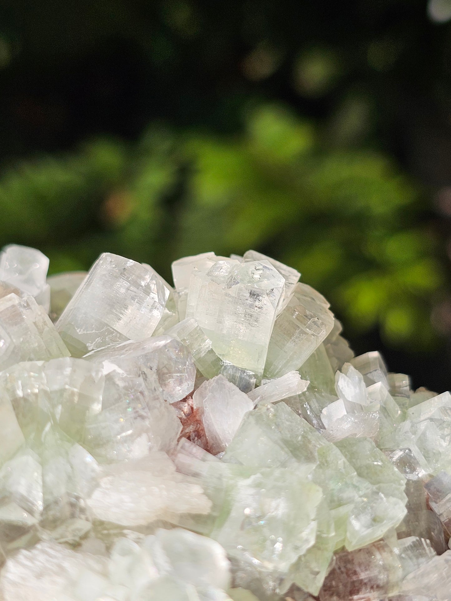 Apophyllite verte sur heulandite rouge I