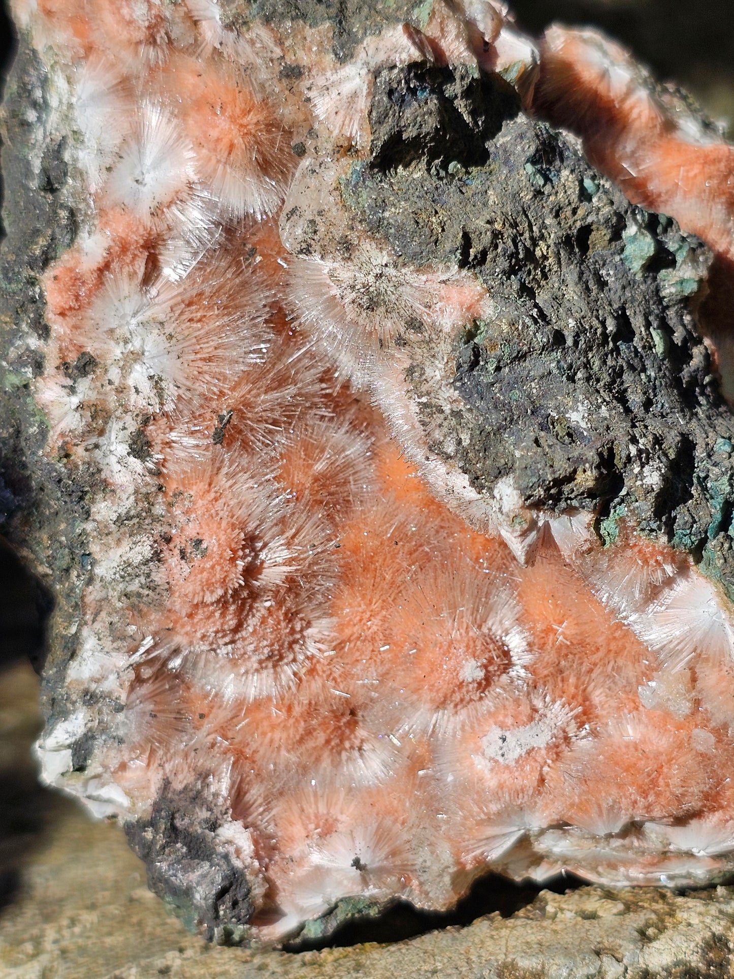 Thomsonite et Mésolite n°1
