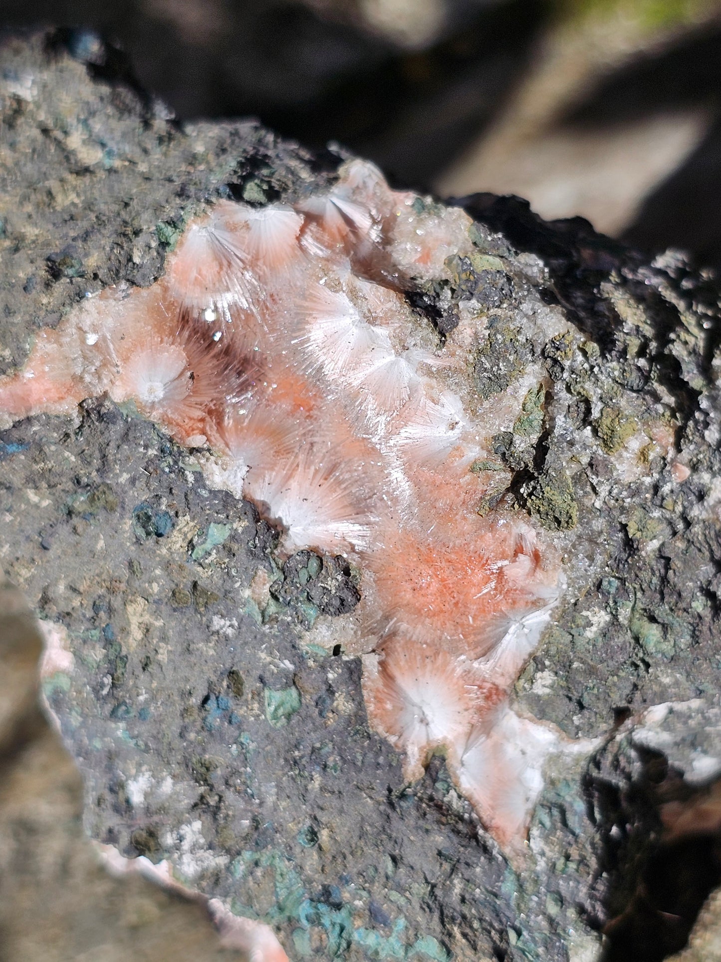 Thomsonite et Mésolite n°1