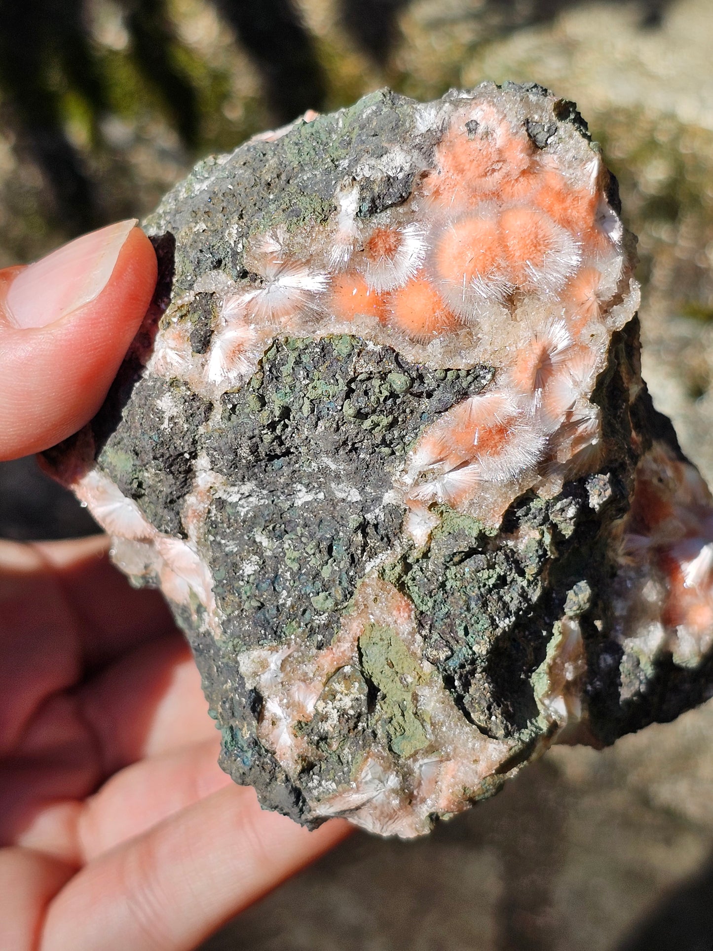 Thomsonite et Mésolite n°1
