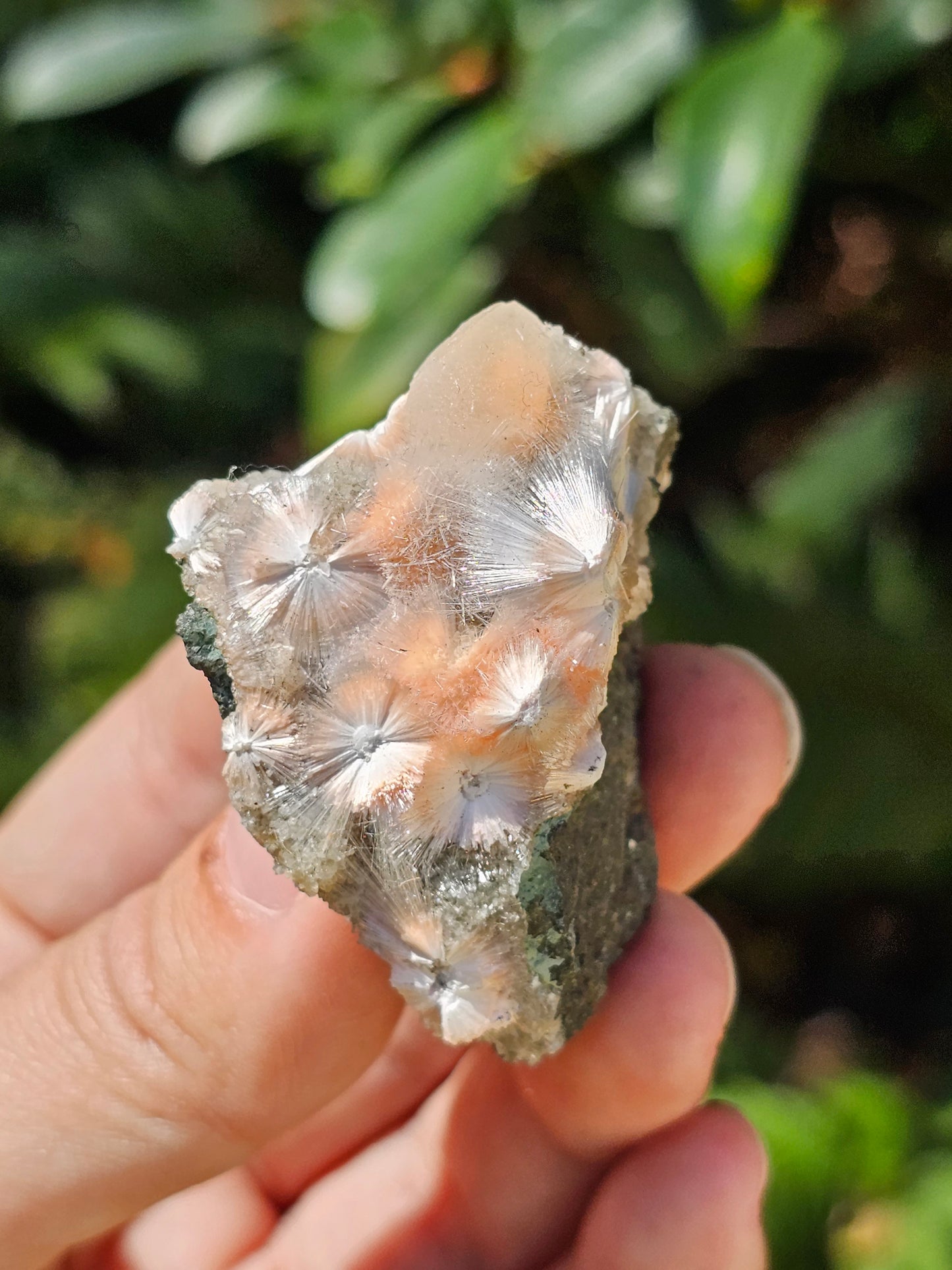 Thomsonite et Mésolite n°11