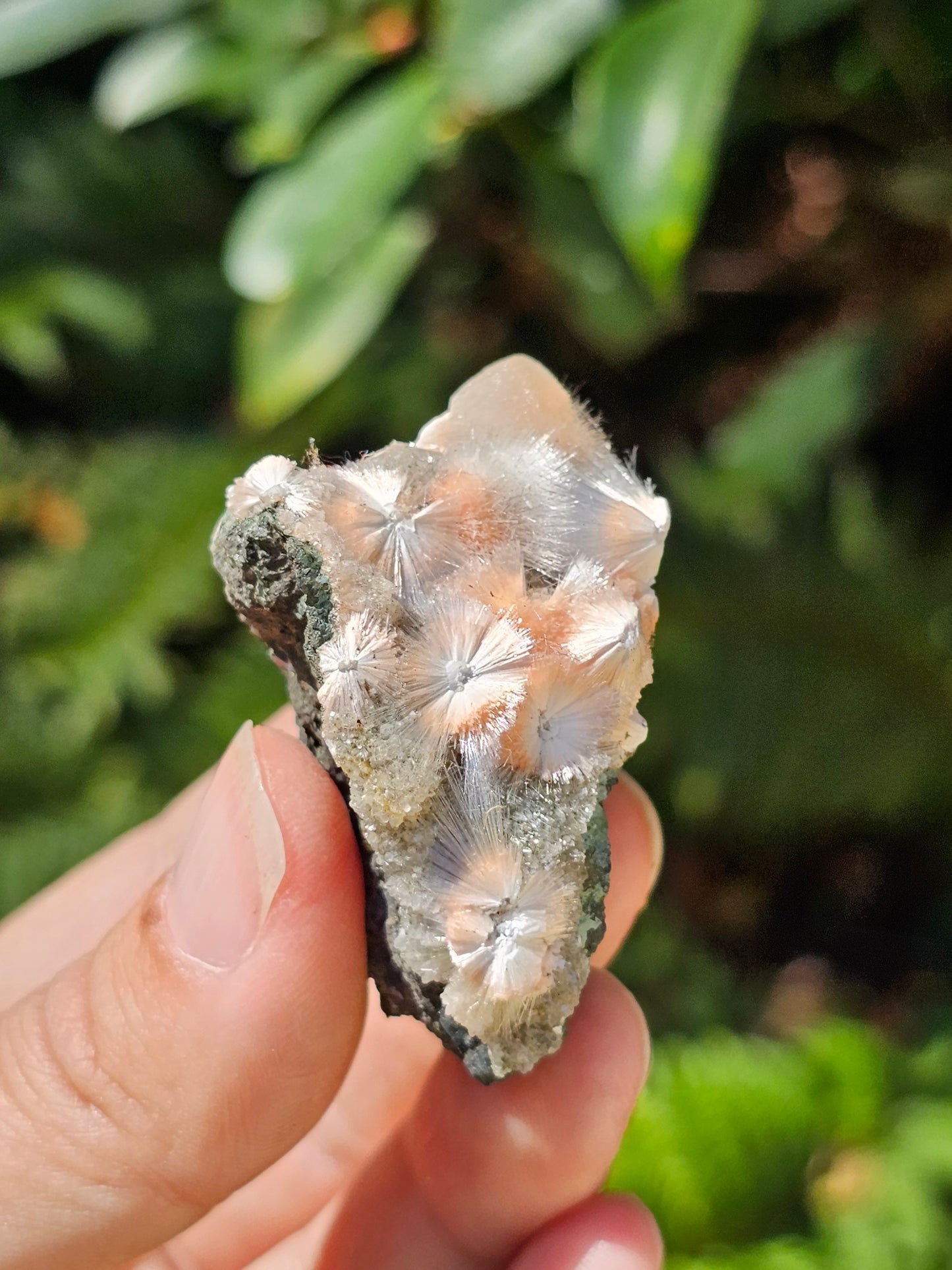 Thomsonite et Mésolite n°11