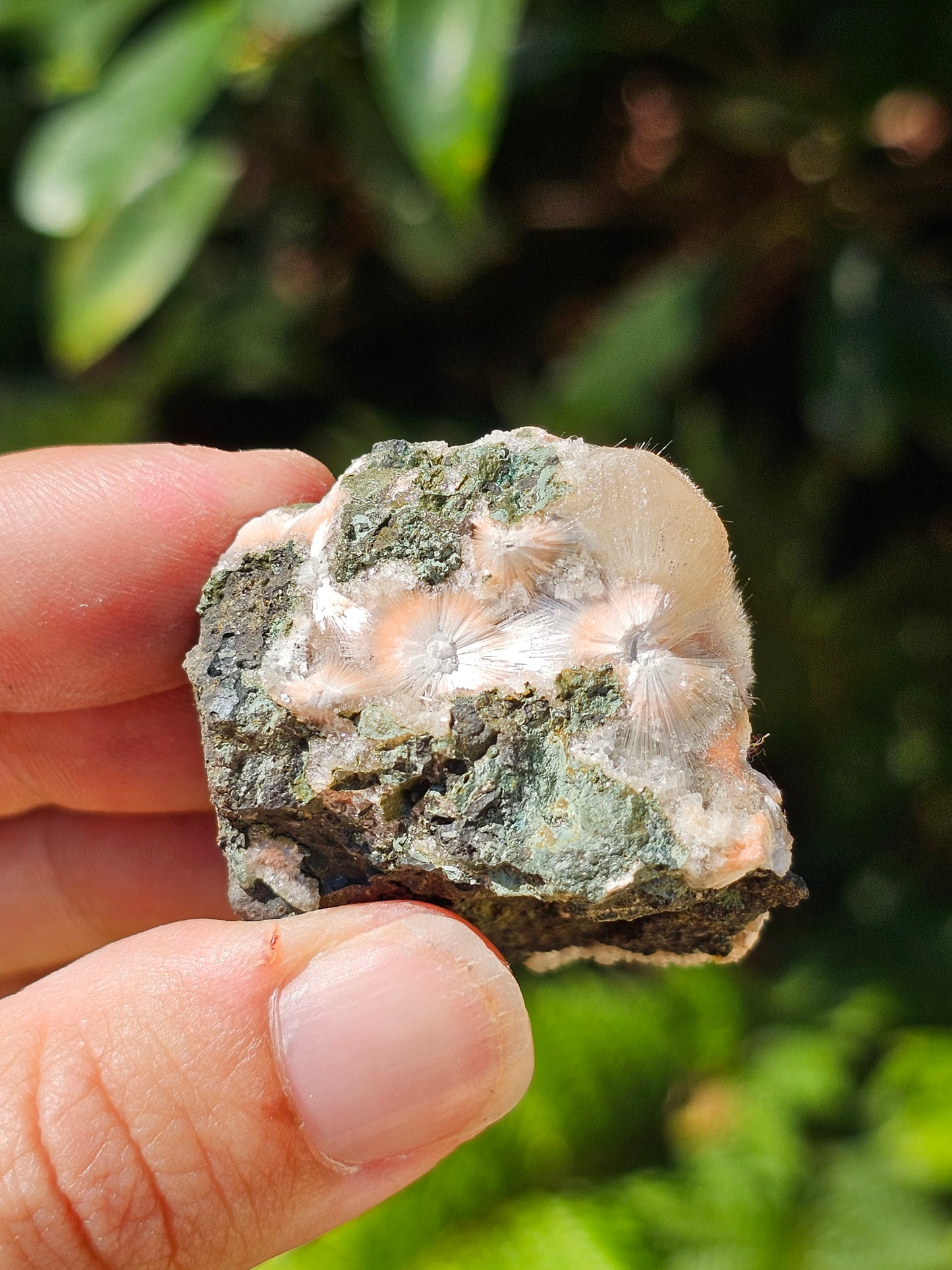 Thomsonite et Mésolite n°11