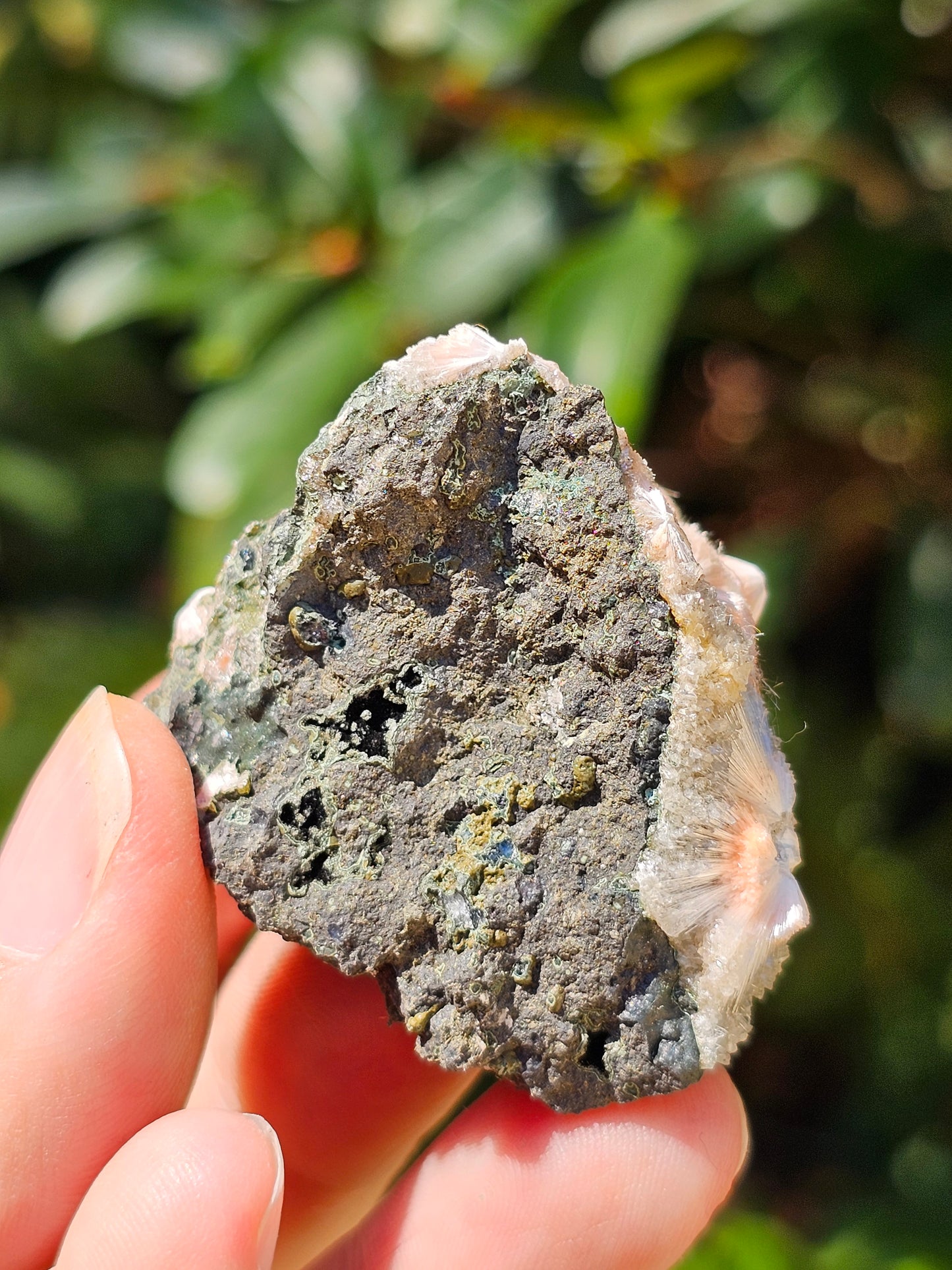 Thomsonite et Mésolite n°11