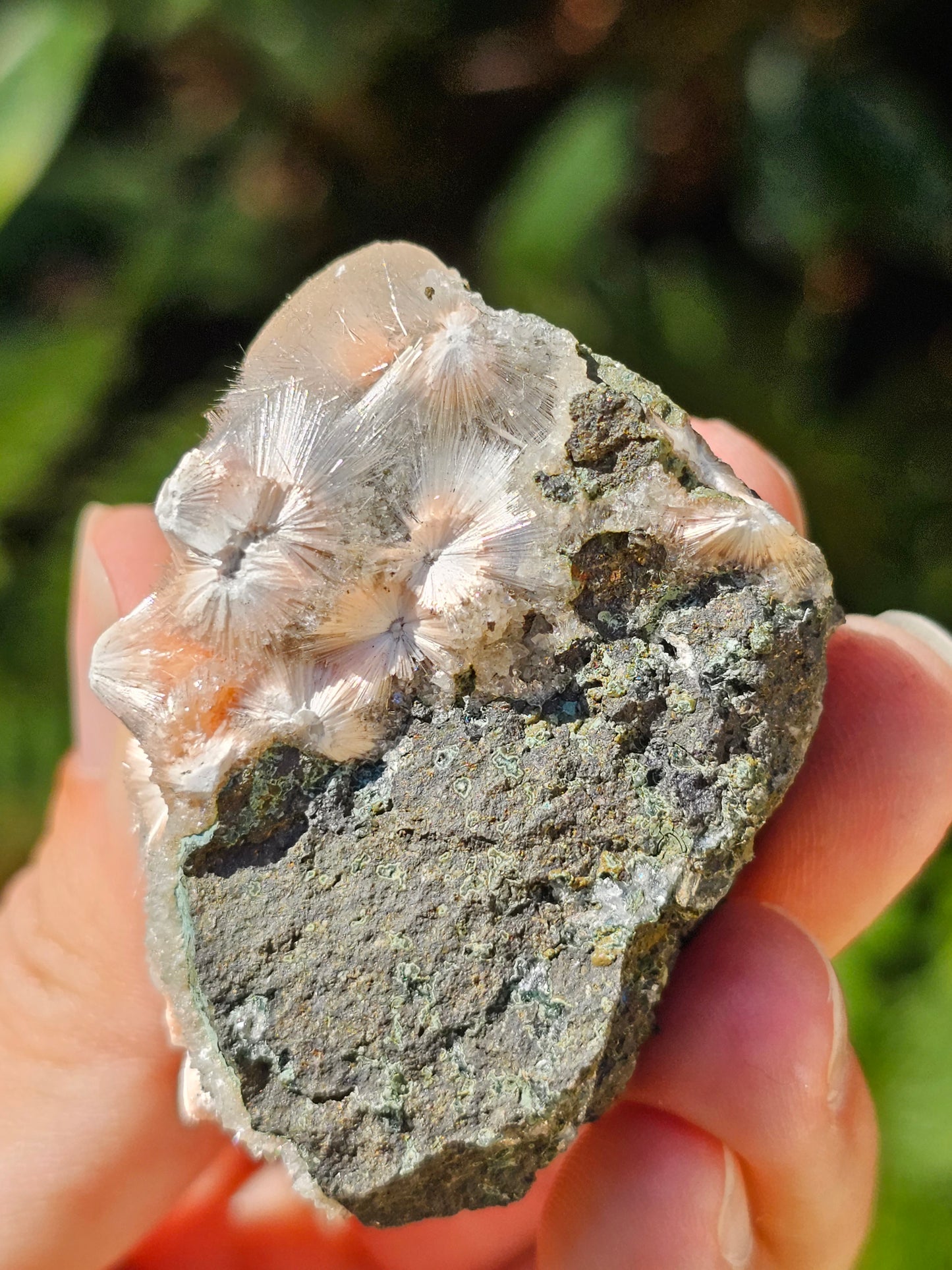 Thomsonite et Mésolite n°11