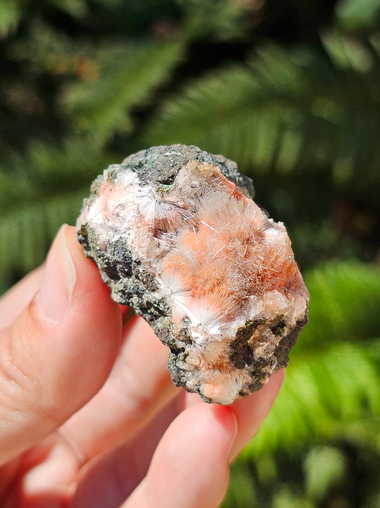 Thomsonite et Mésolite n°9