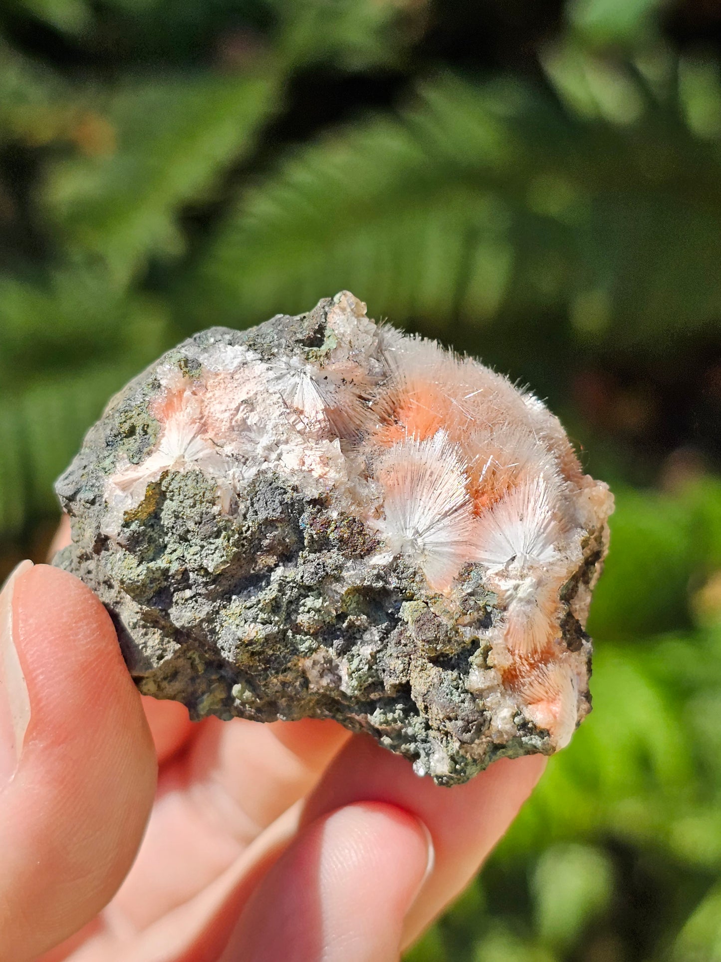Thomsonite et Mésolite n°9