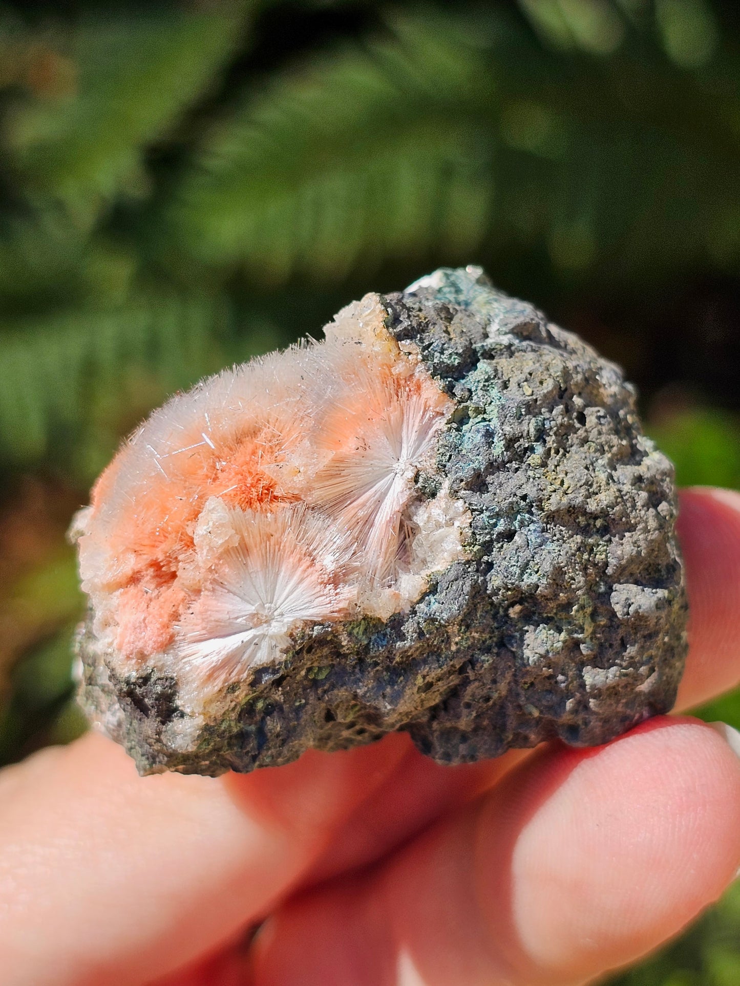 Thomsonite et Mésolite n°9