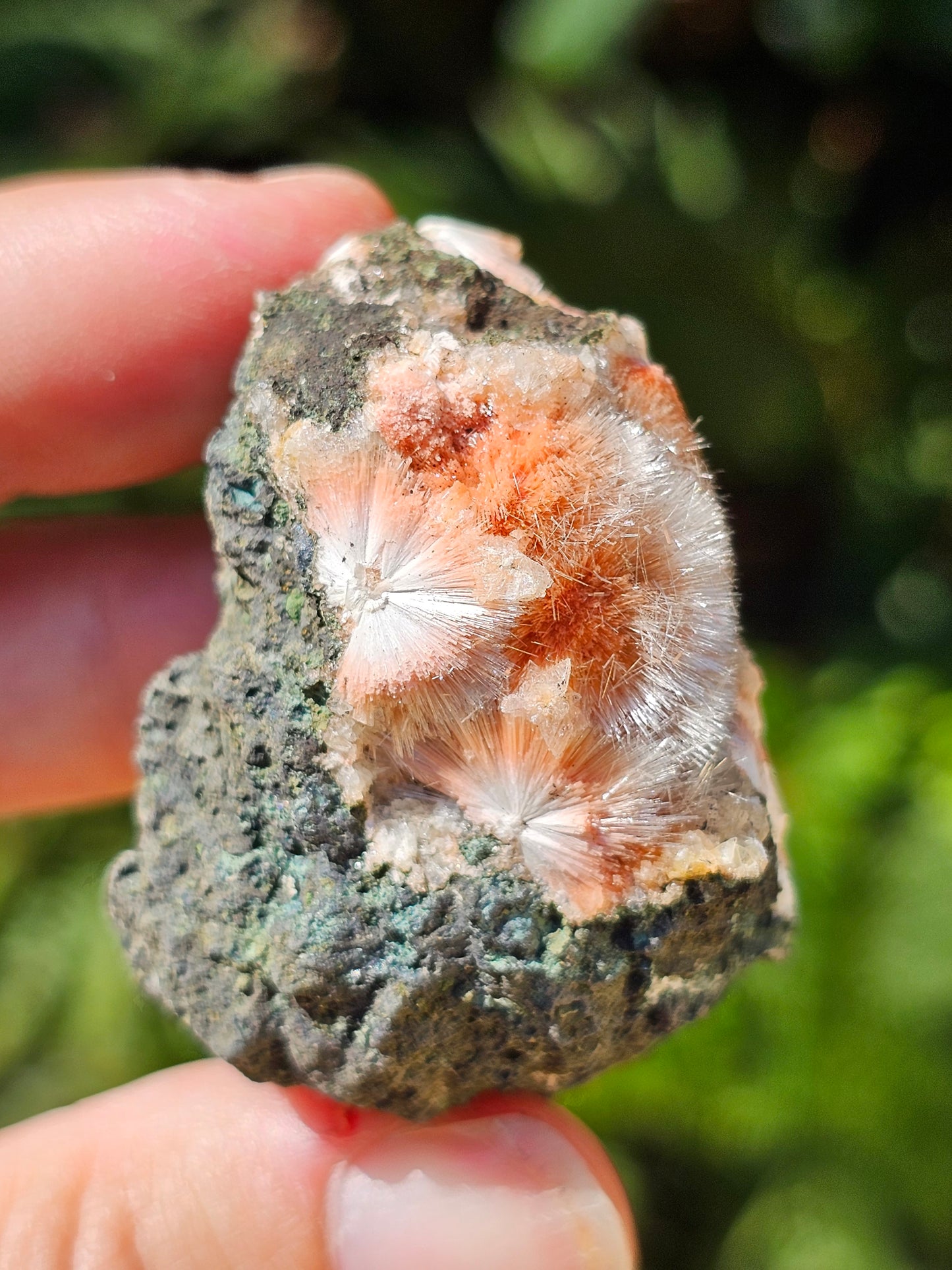 Thomsonite et Mésolite n°9