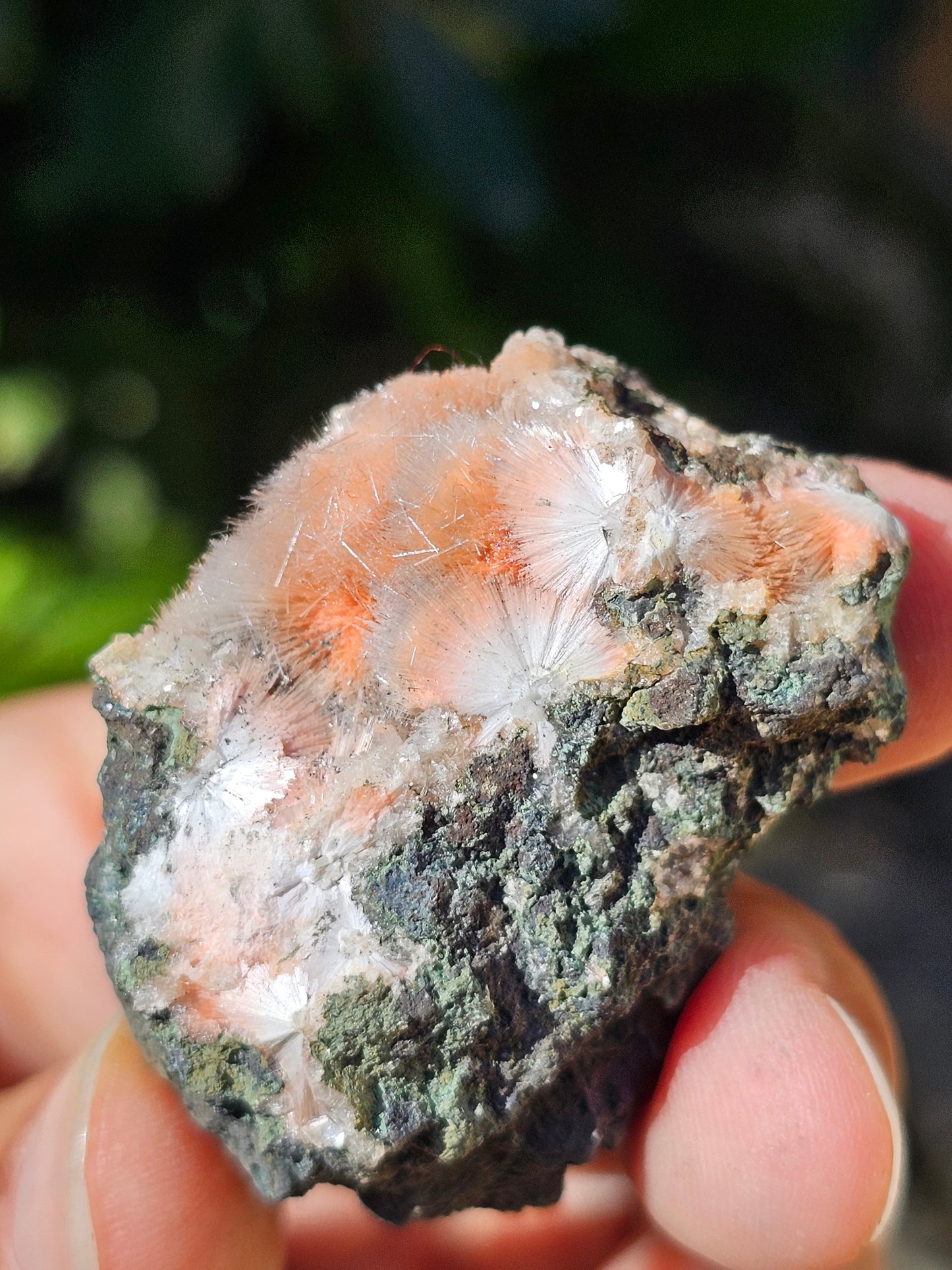 Thomsonite et Mésolite n°9