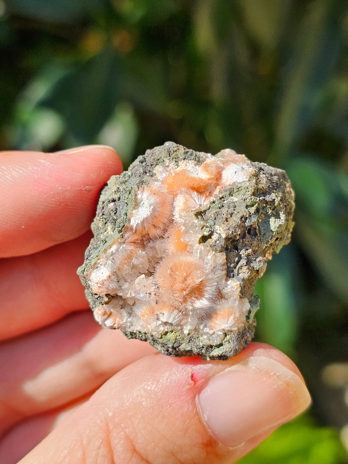 Thomsonite et Mésolite n°10