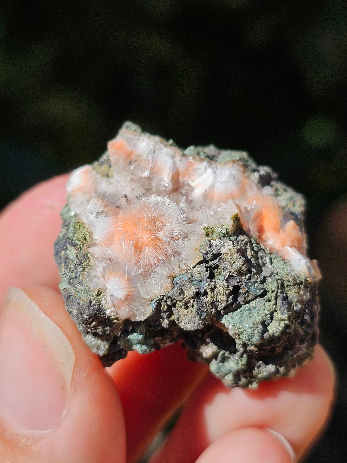 Thomsonite et Mésolite n°10